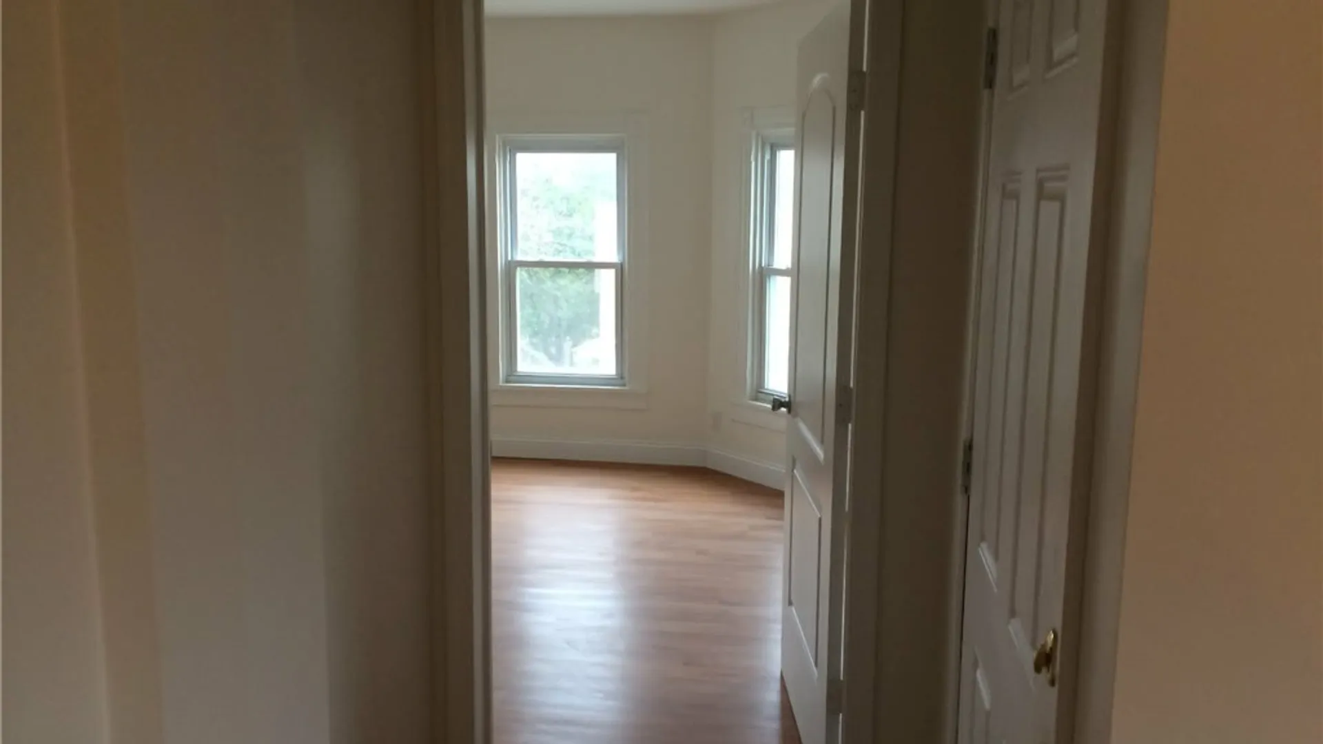 Property at 101 Dillaye Avenue, Syracuse, NY 13206 11