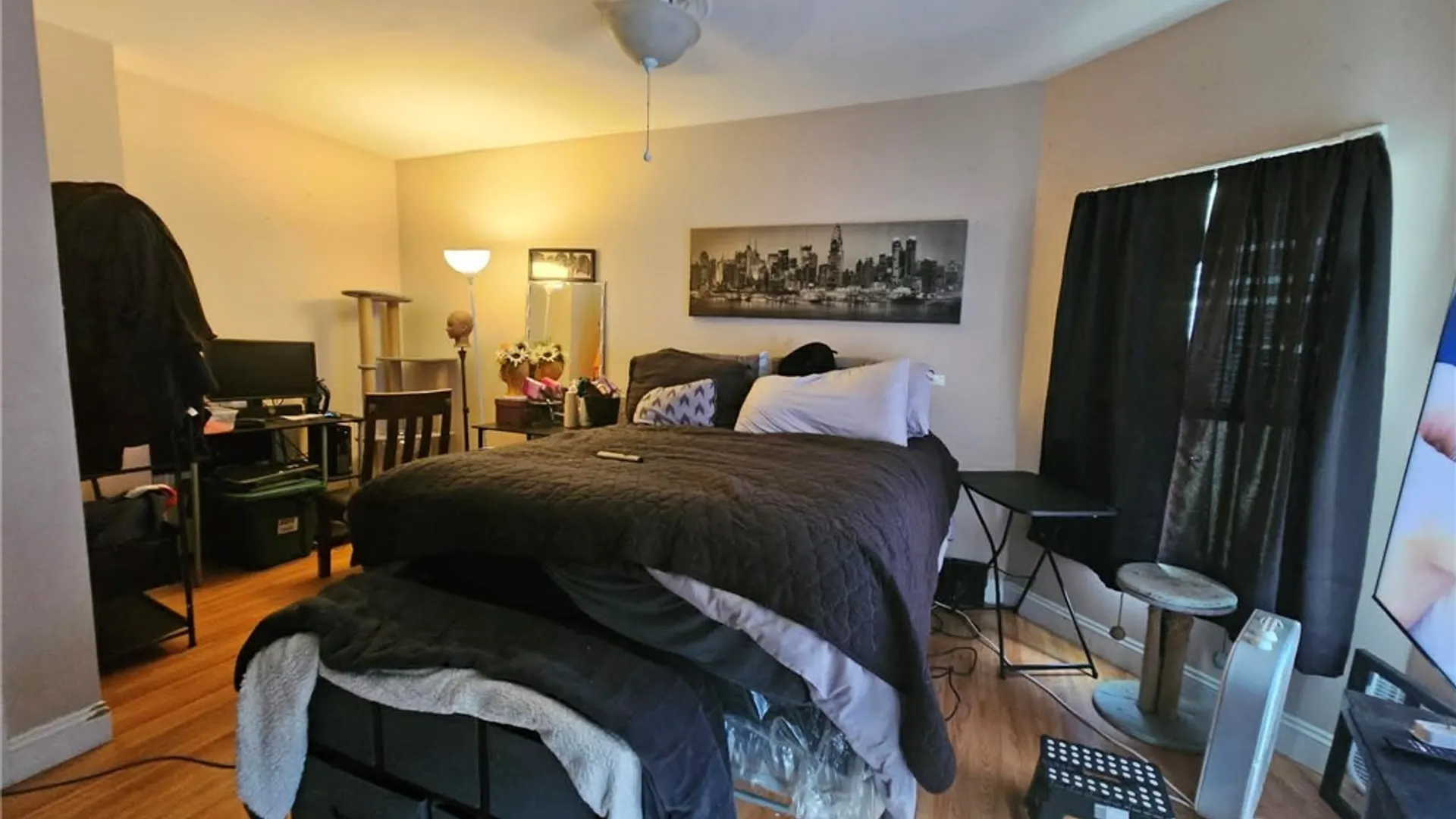Property at 101 Dillaye Avenue, Syracuse, NY 13206 16