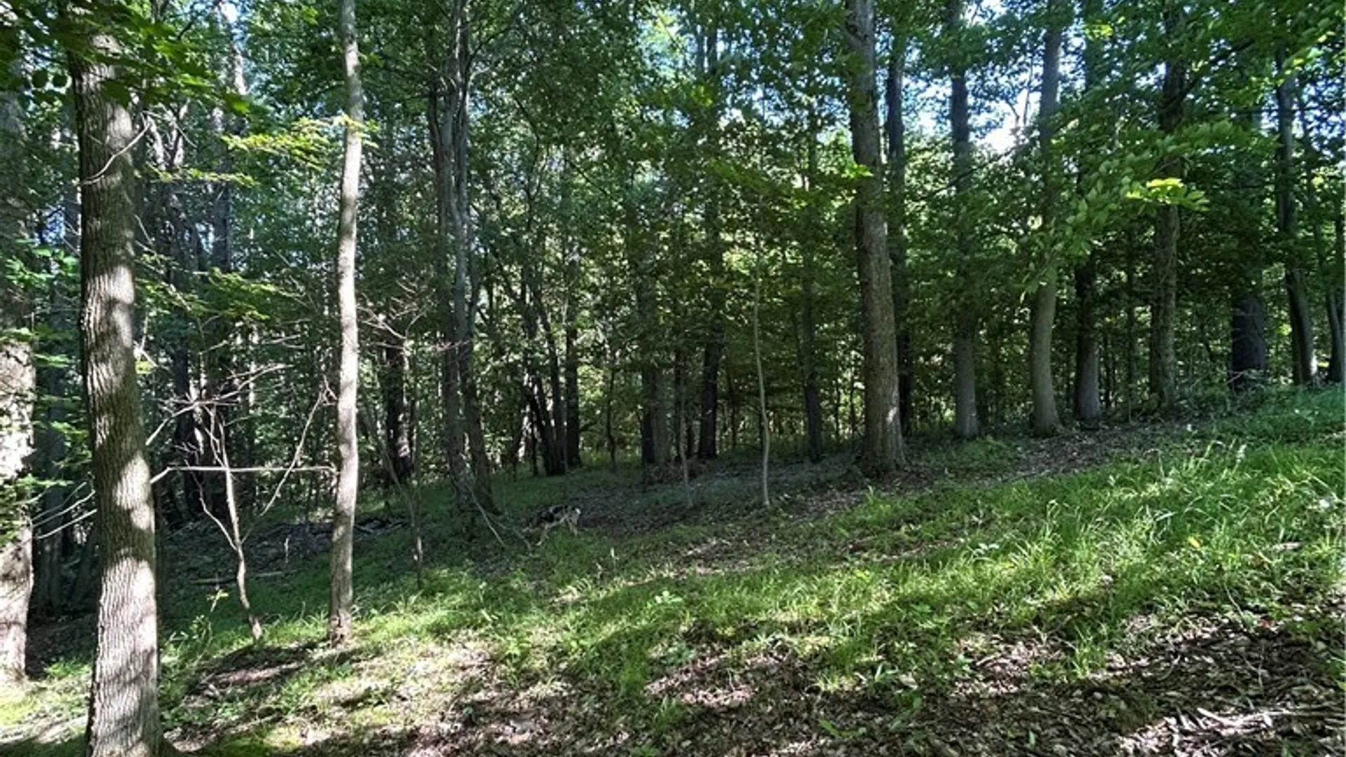 Property at 6810 Rt-39, Eagle, NY 14024 4