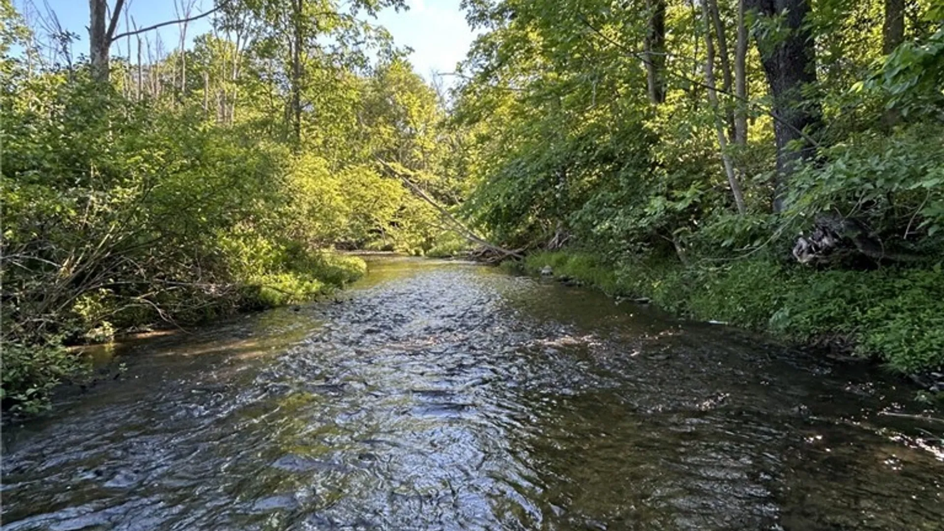 Property at 6810 Rt-39, Eagle, NY 14024 5