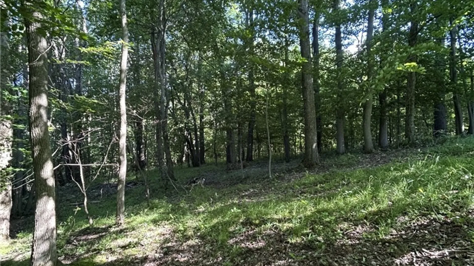 Property at 6810 Rt-39, Eagle, NY 14024 8