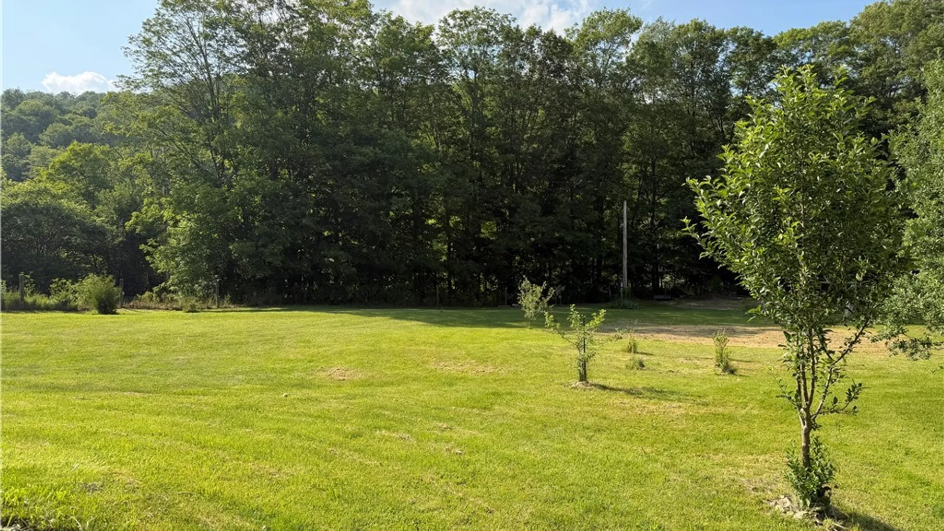 Property at 3087 County Route 6, Fremont, NY 14826 16