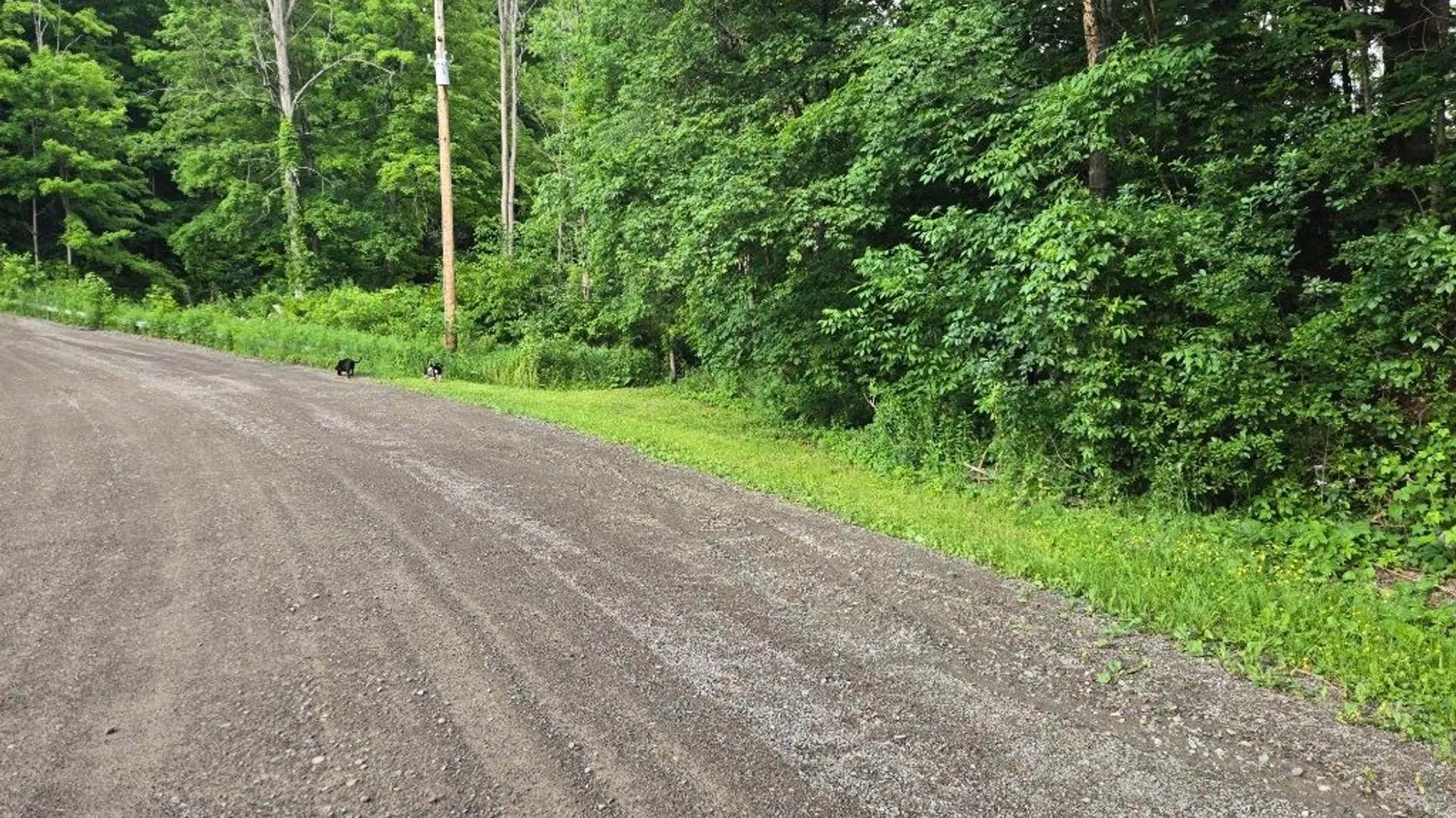 Property at 3087 County Route 6, Fremont, NY 14826 18