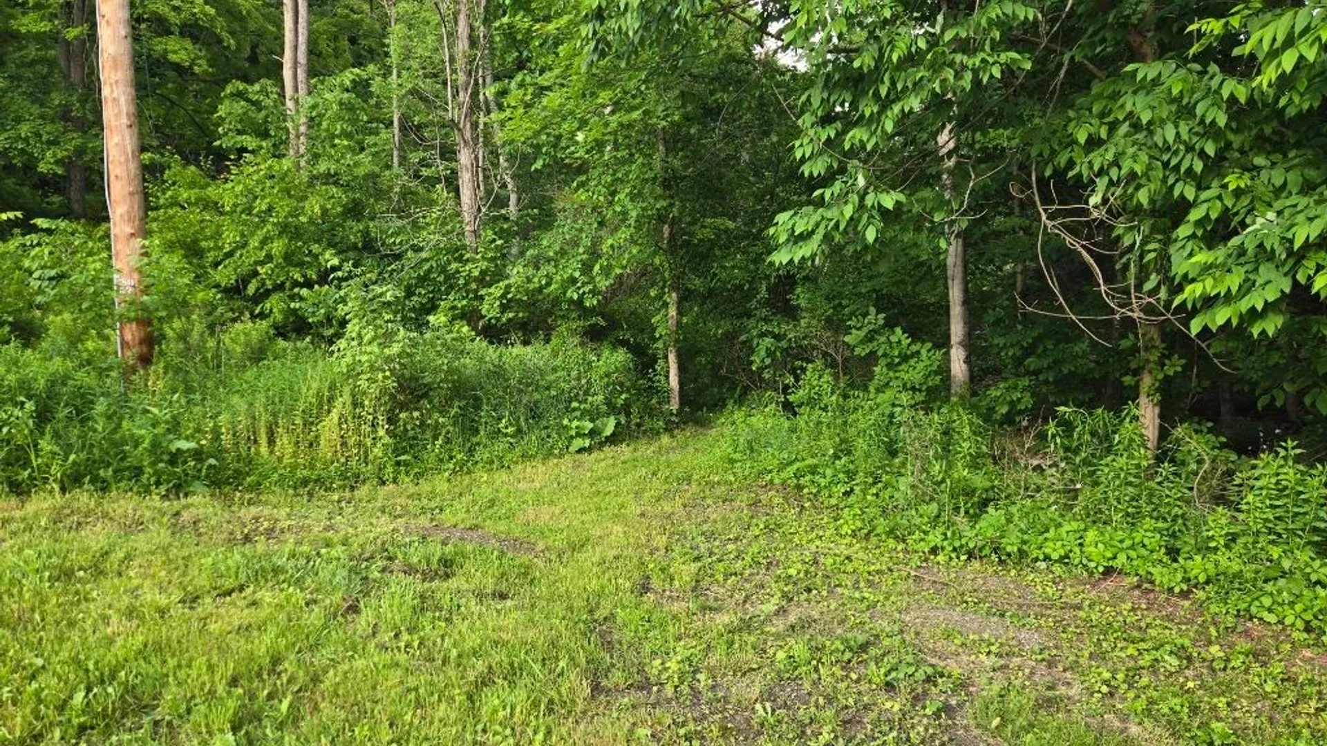 Property at 3087 County Route 6, Fremont, NY 14826 20