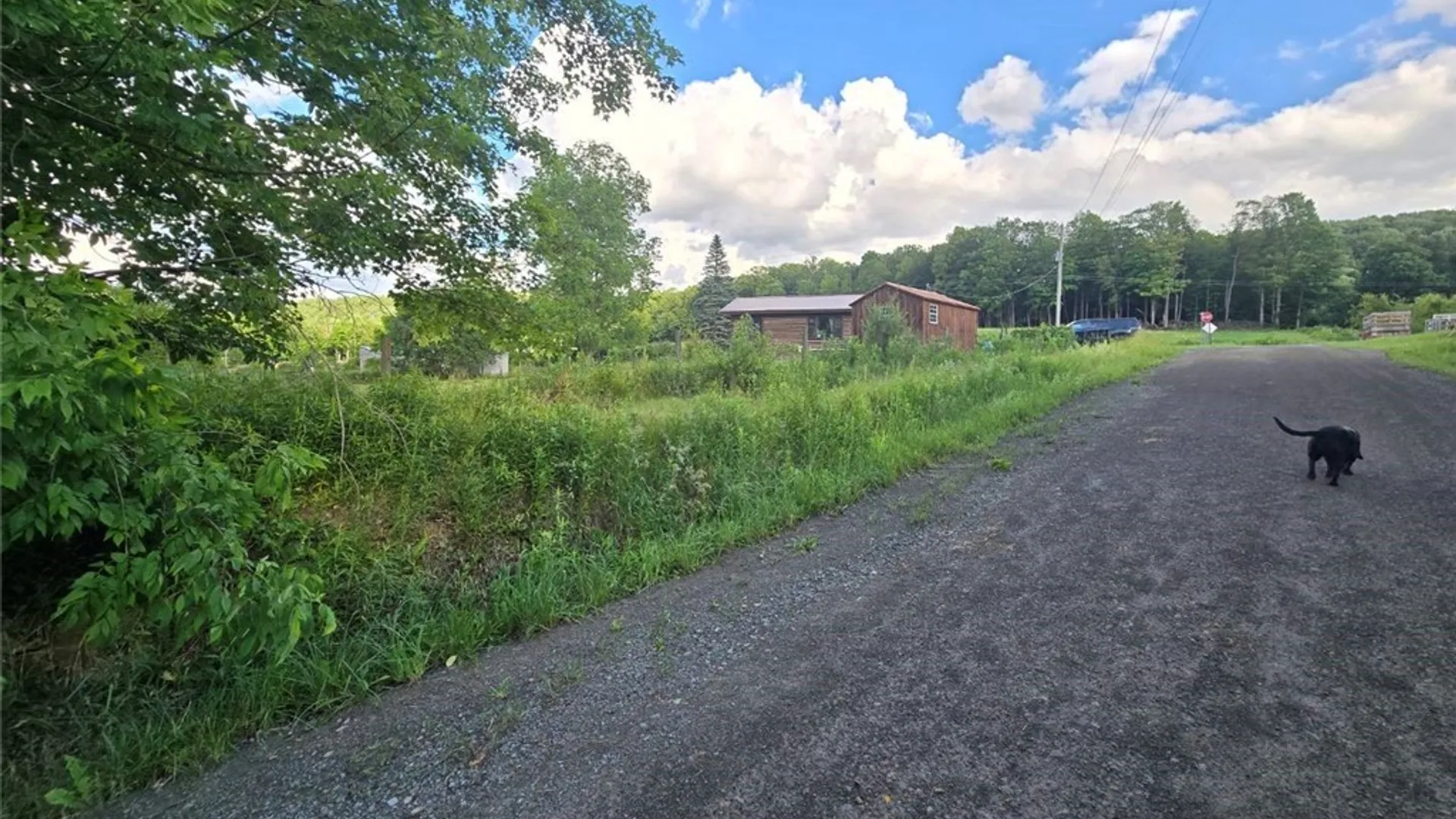 Property at 3087 County Route 6, Fremont, NY 14826 23