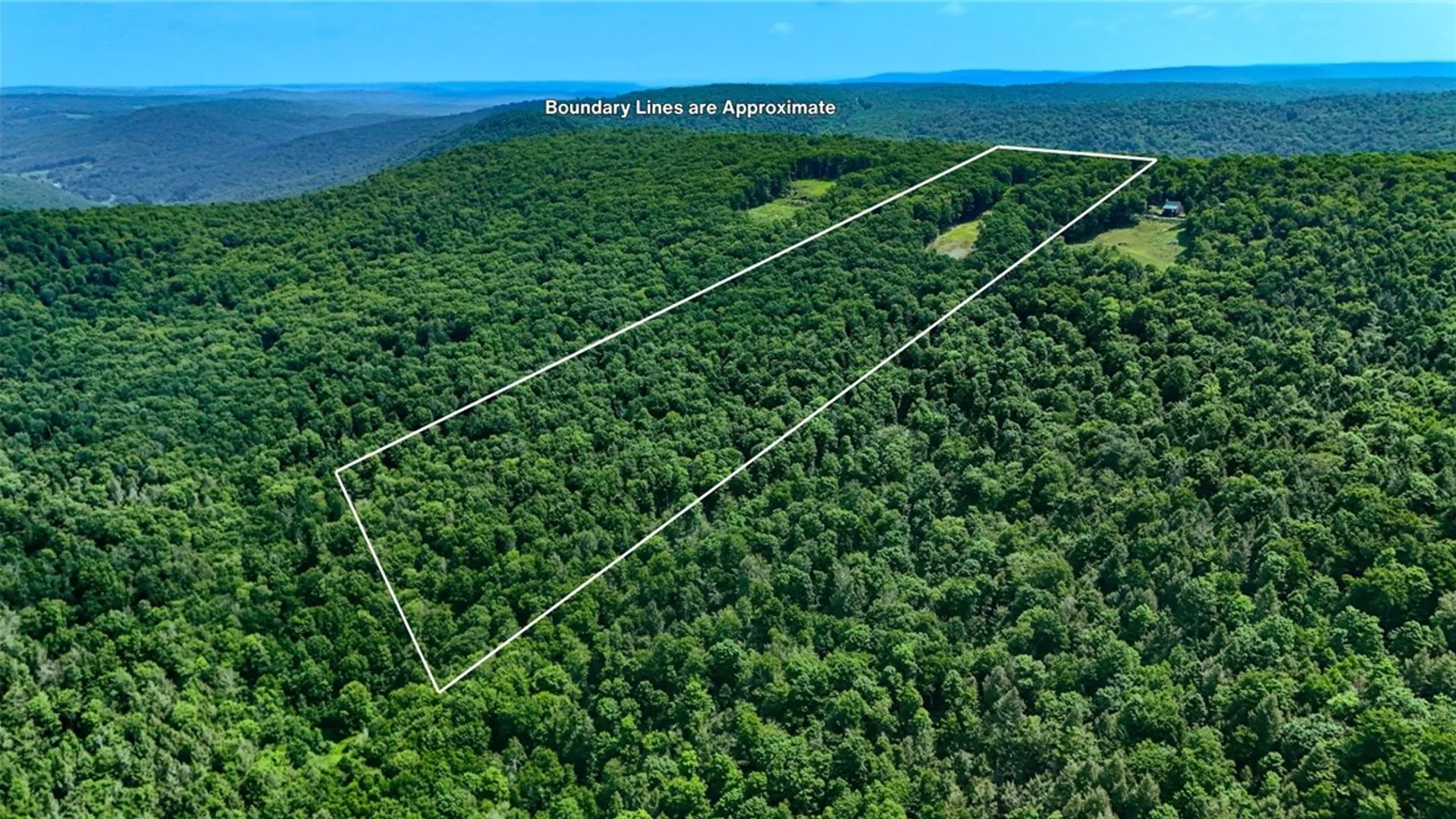 Property at 000 Tower Lane, Tompkins, NY 13856 4