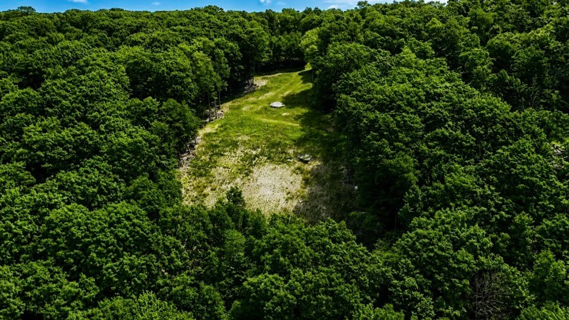 Property at 000 Tower Lane, Tompkins, NY 13856 5