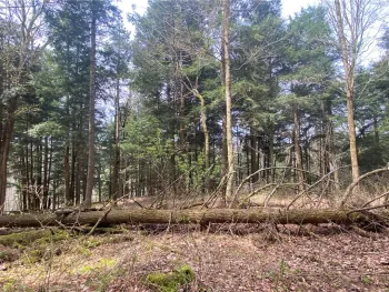 Property at Lot A Piermott Lane, Hartwick, NY 13348