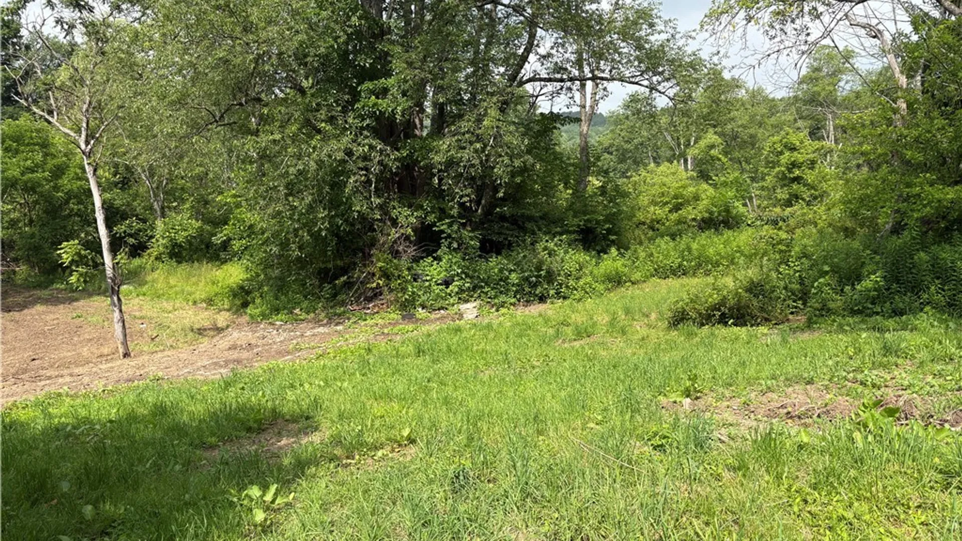 Property at 11029 Route 16, Yorkshire, NY 14042 15