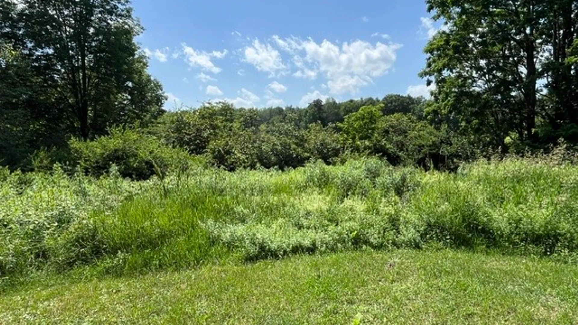 Property at 518 S Gilboa Road, Gilboa, NY 12167 16