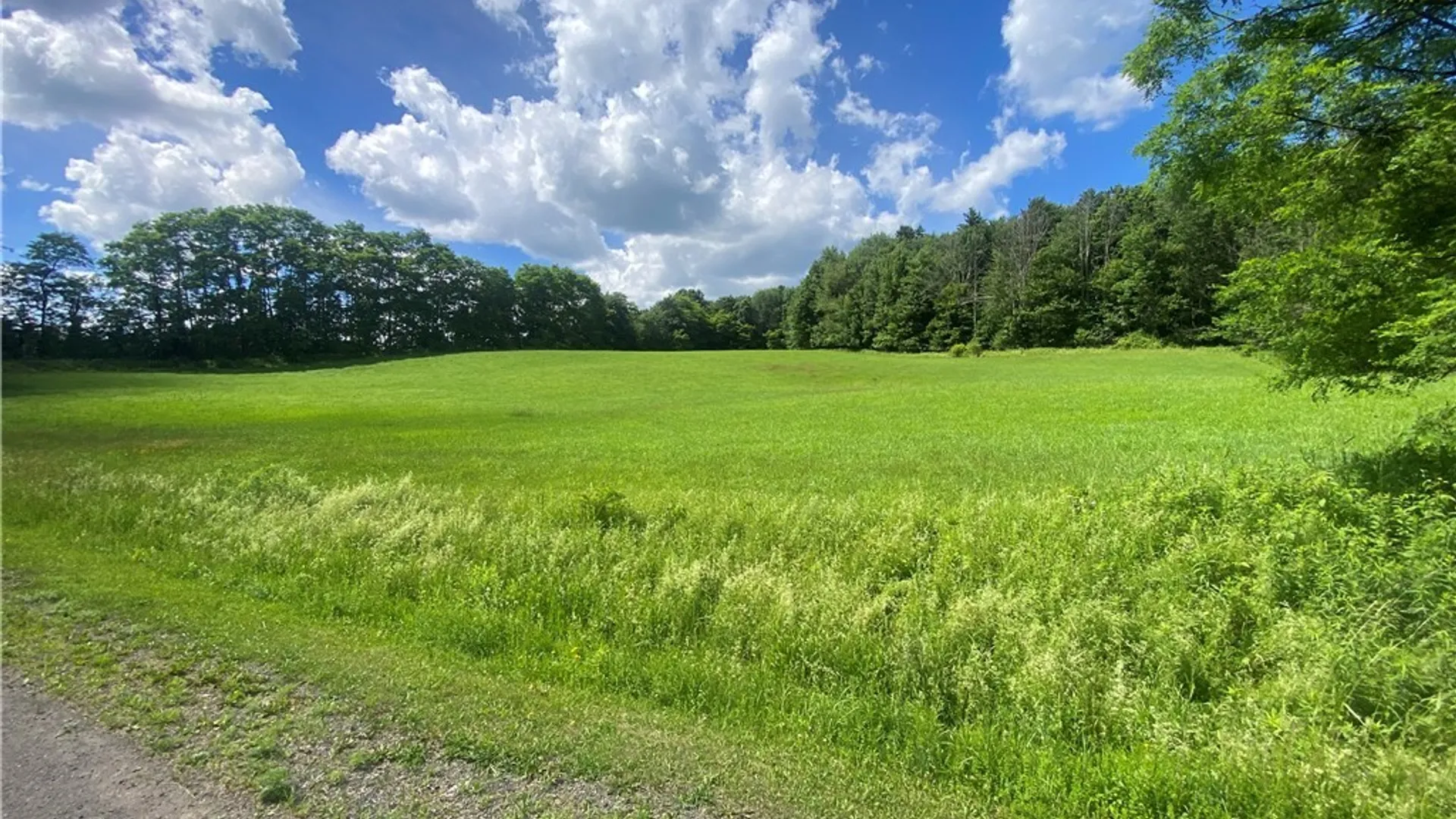 Property at Holmesville Road, New Berlin, NY 13843 4
