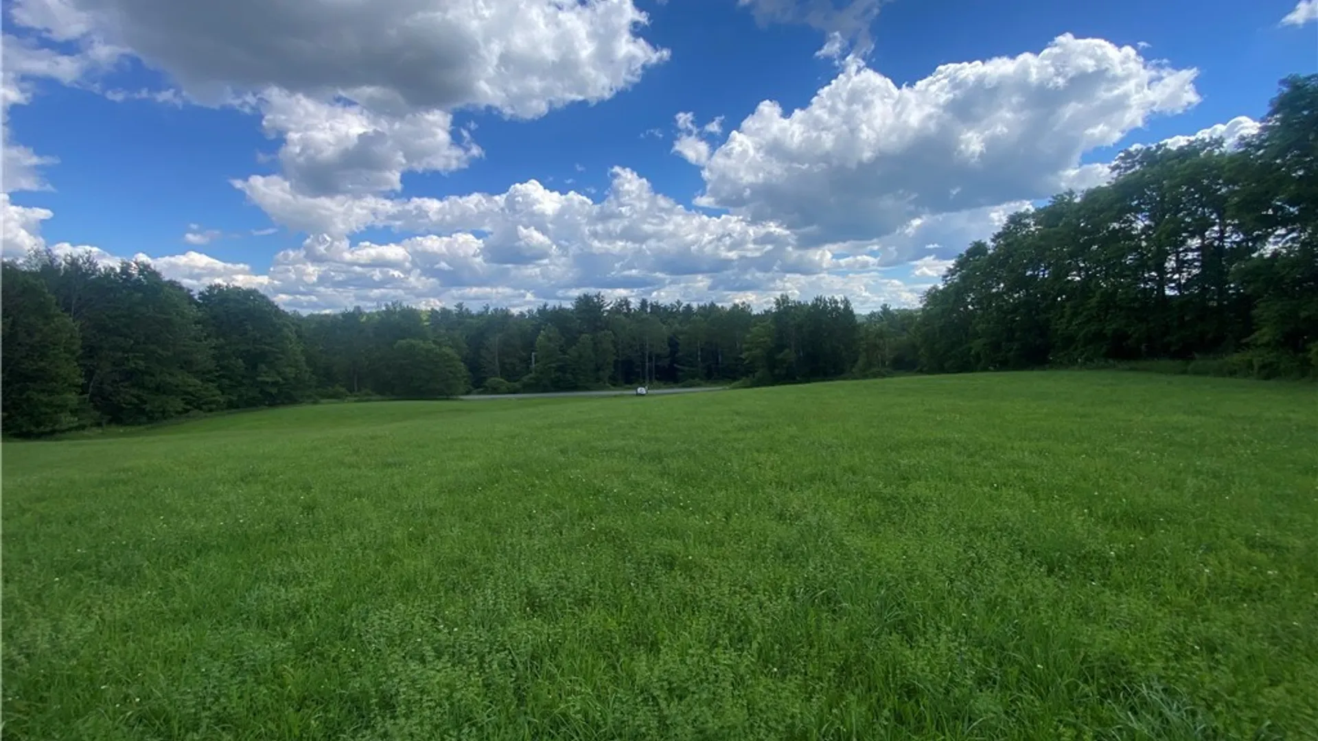 Property at Holmesville Road, New Berlin, NY 13843 7