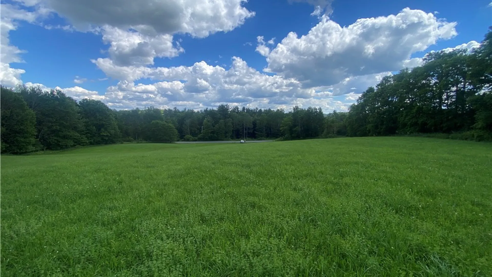 Property at Holmesville Road, New Berlin, NY 13843 8