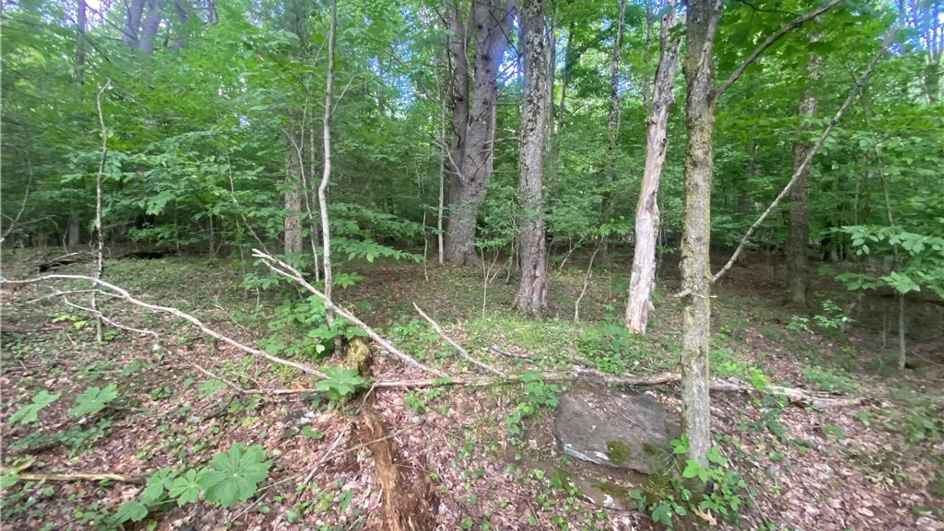 Property at Holmesville Road, New Berlin, NY 13843 9