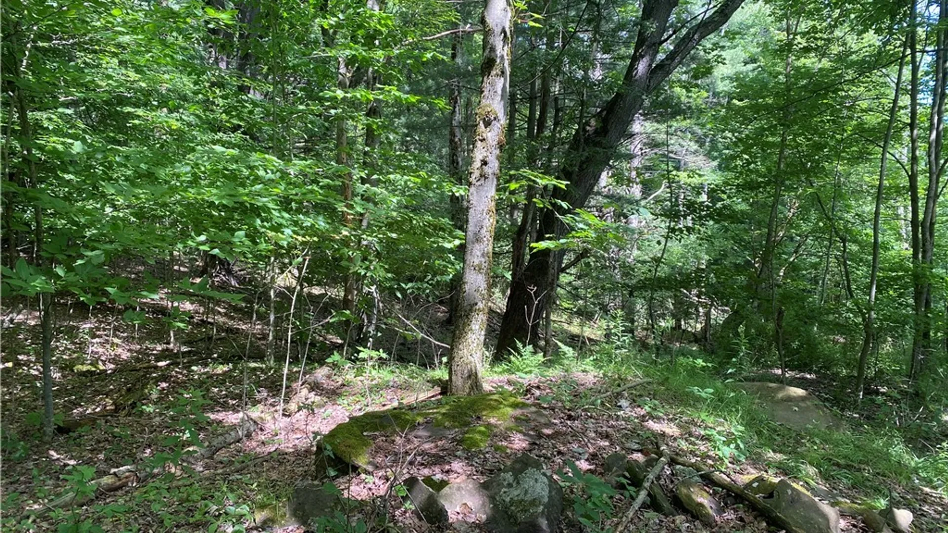 Property at Holmesville Road, New Berlin, NY 13843 11