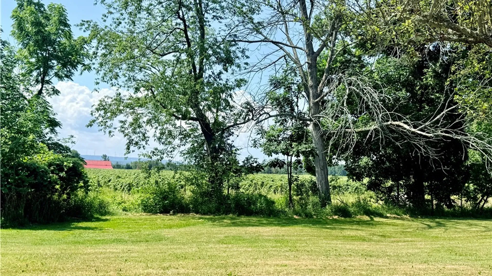 Property at 11577 Center Road, Sheridan, NY 14048 25