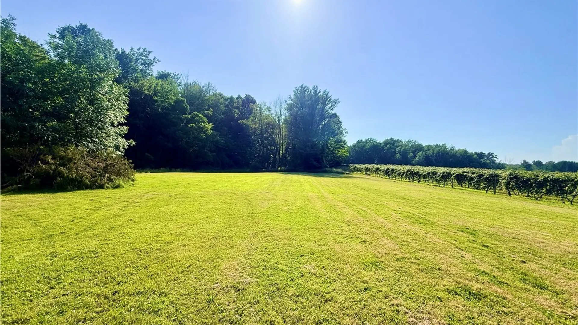 Property at 11577 Center Road, Sheridan, NY 14048 28