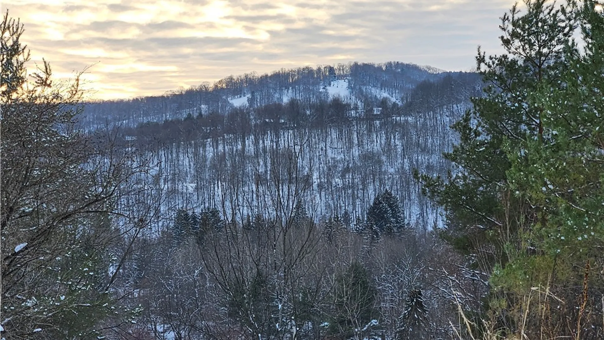 Property at 48 Mill Street, Ellicottville, NY 14731 10