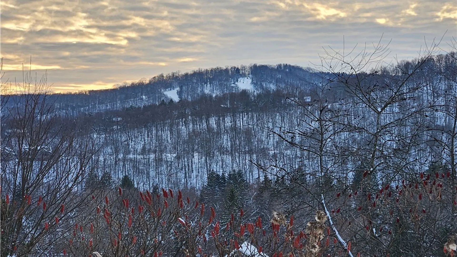Property at 48 Mill Street, Ellicottville, NY 14731 11