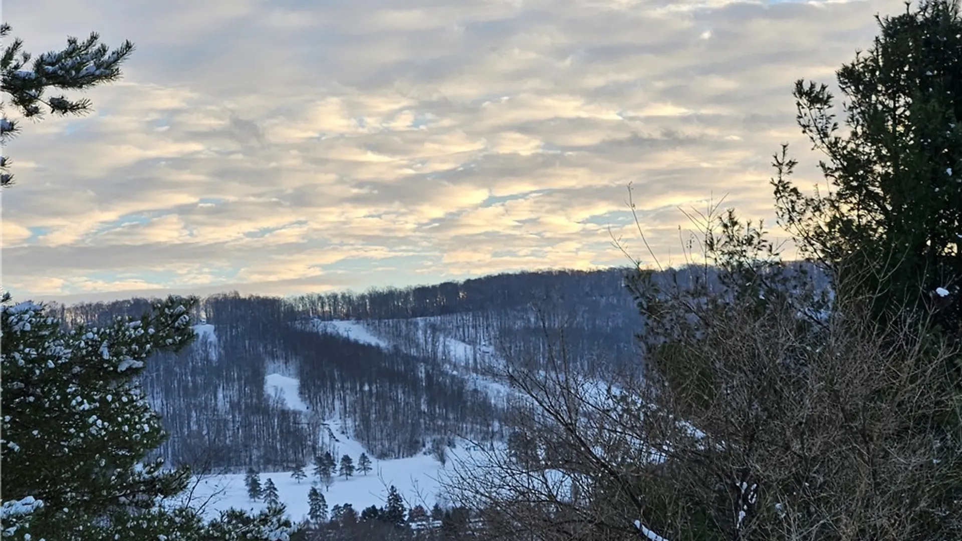 Property at 48 Mill Street, Ellicottville, NY 14731 12