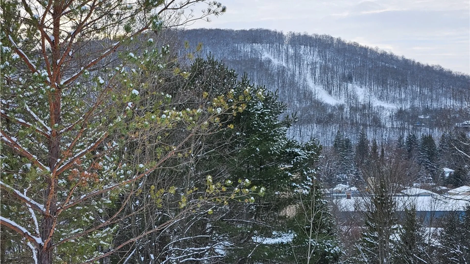 Property at 48 Mill Street, Ellicottville, NY 14731 13
