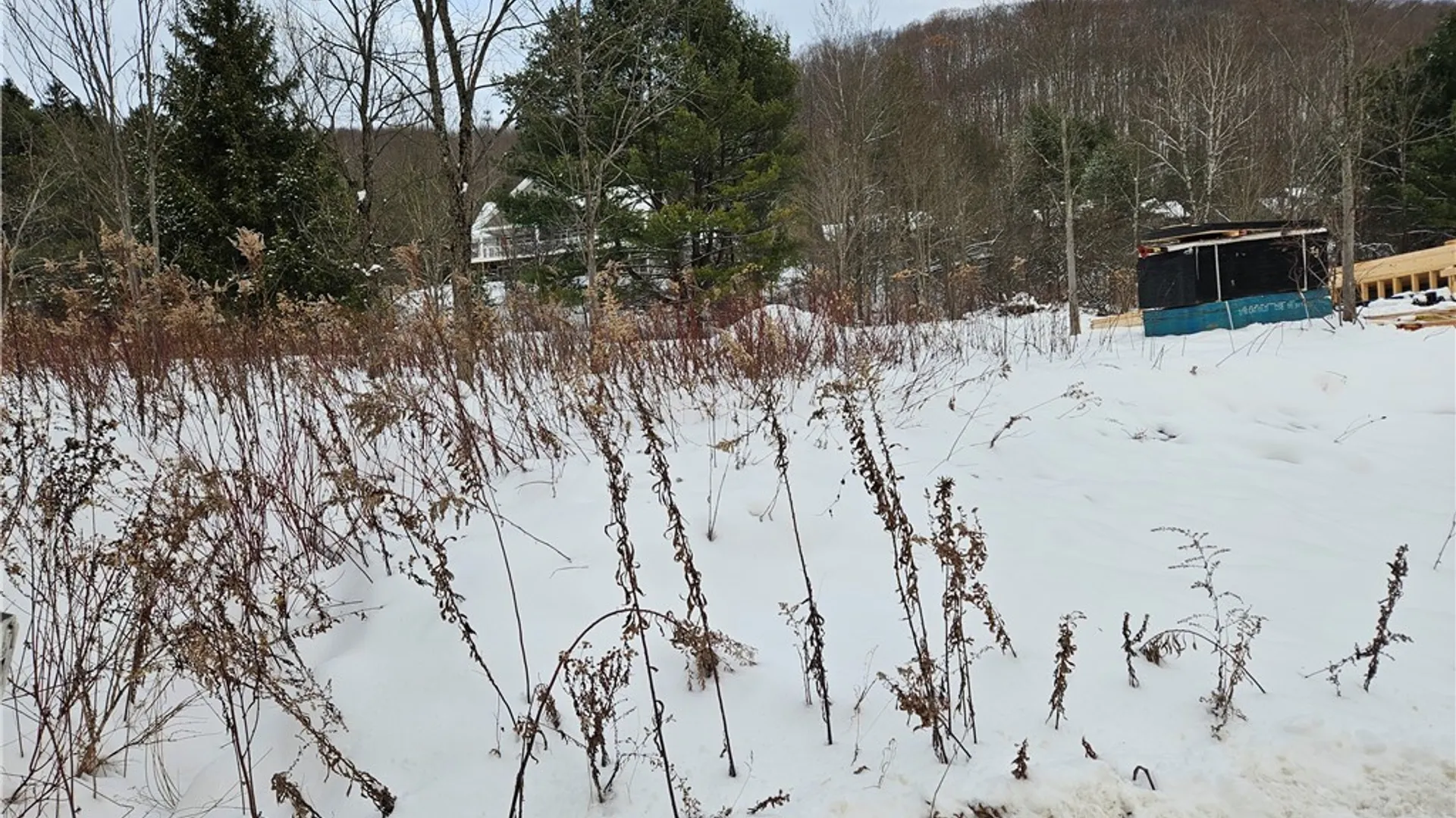 Property at 48 Mill Street, Ellicottville, NY 14731 14