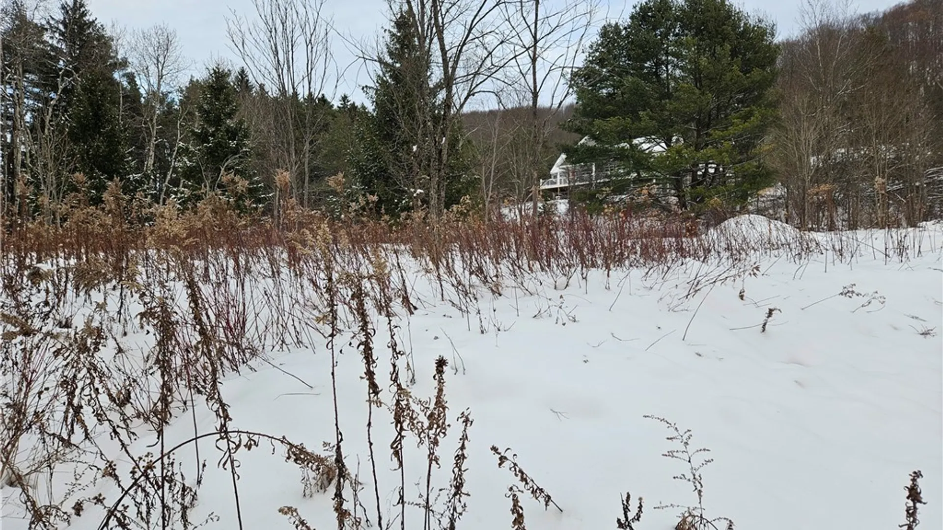Property at 48 Mill Street, Ellicottville, NY 14731 15