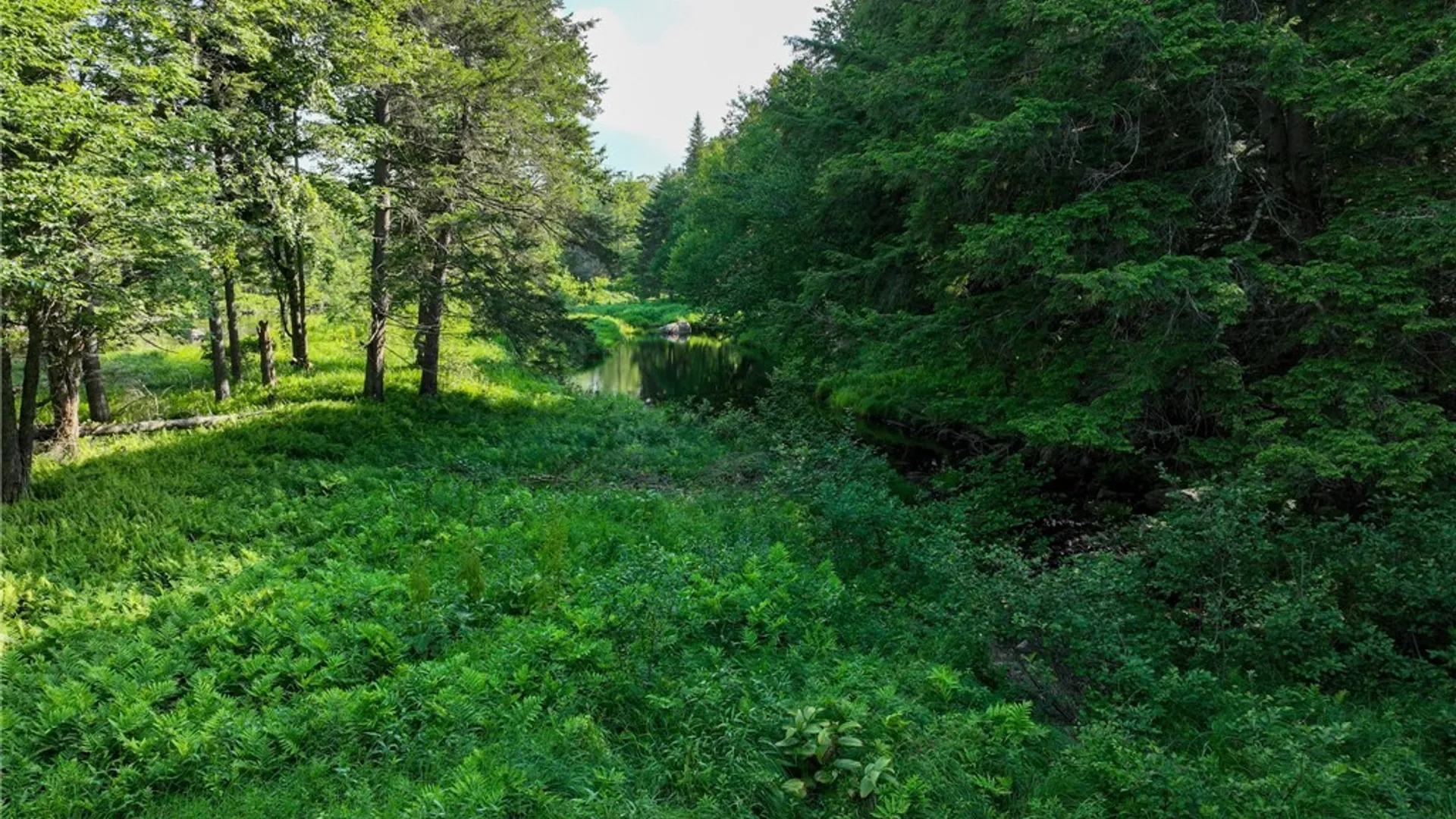 Property at Rt-28, Forestport, NY 13338 38