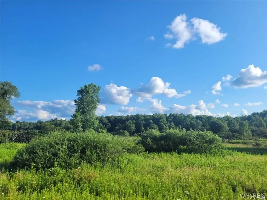 Property at 0 Route 394, Cold Spring, NY 14772