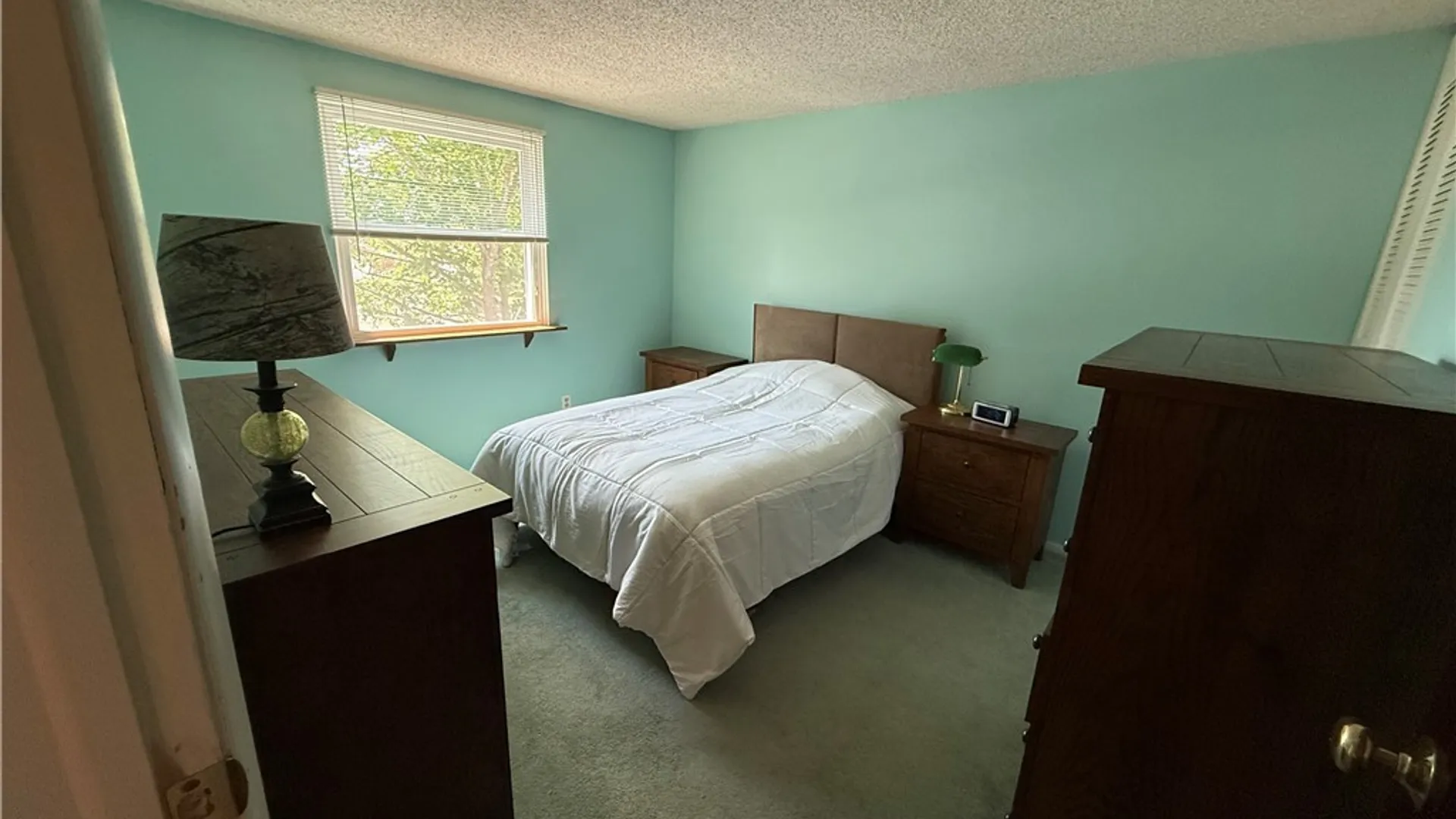Property at 3595 Eric Trail, Hamburg, NY 14219 13