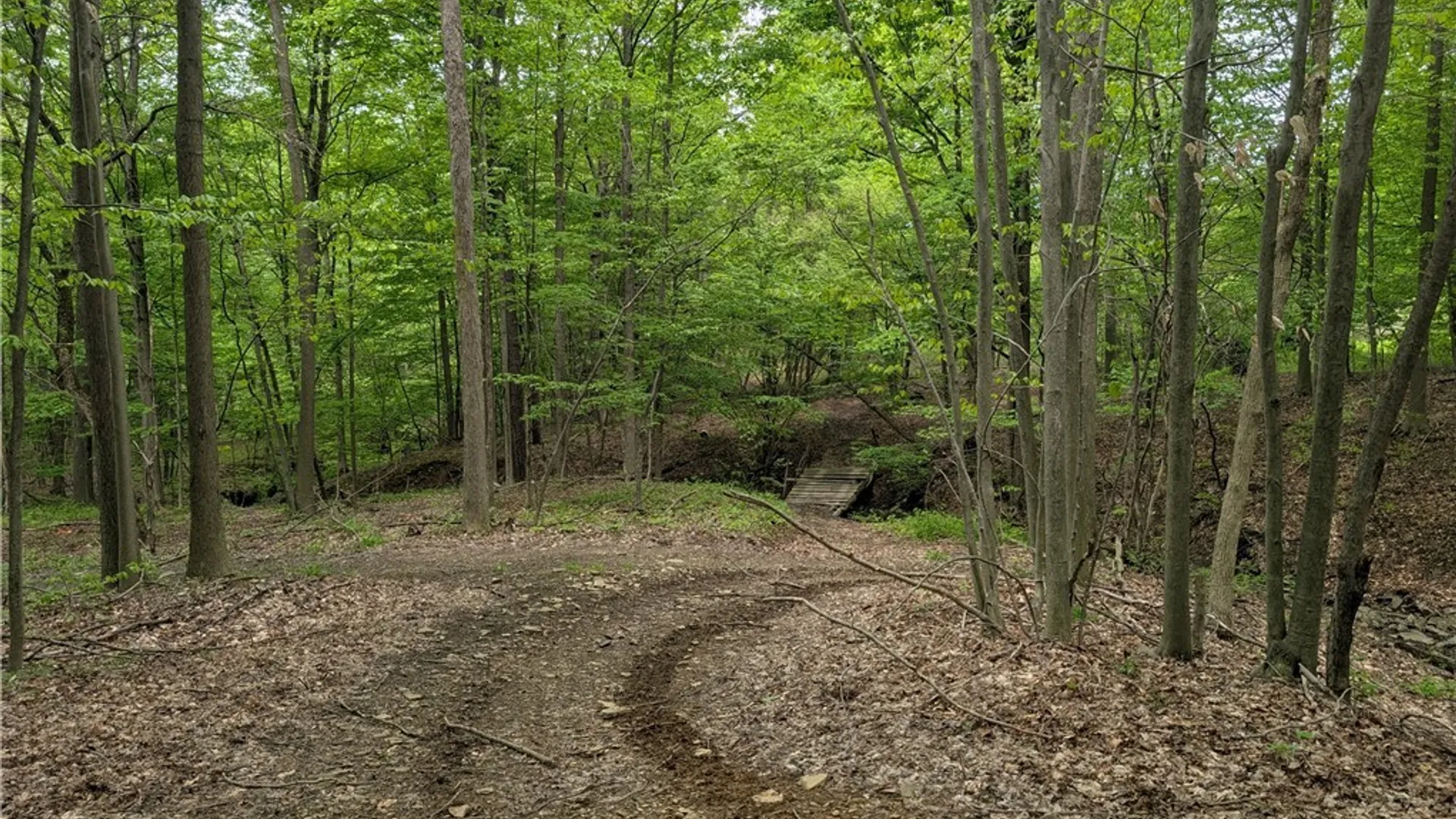 Property at 10865 Route 240, Ashford, NY 14171 47