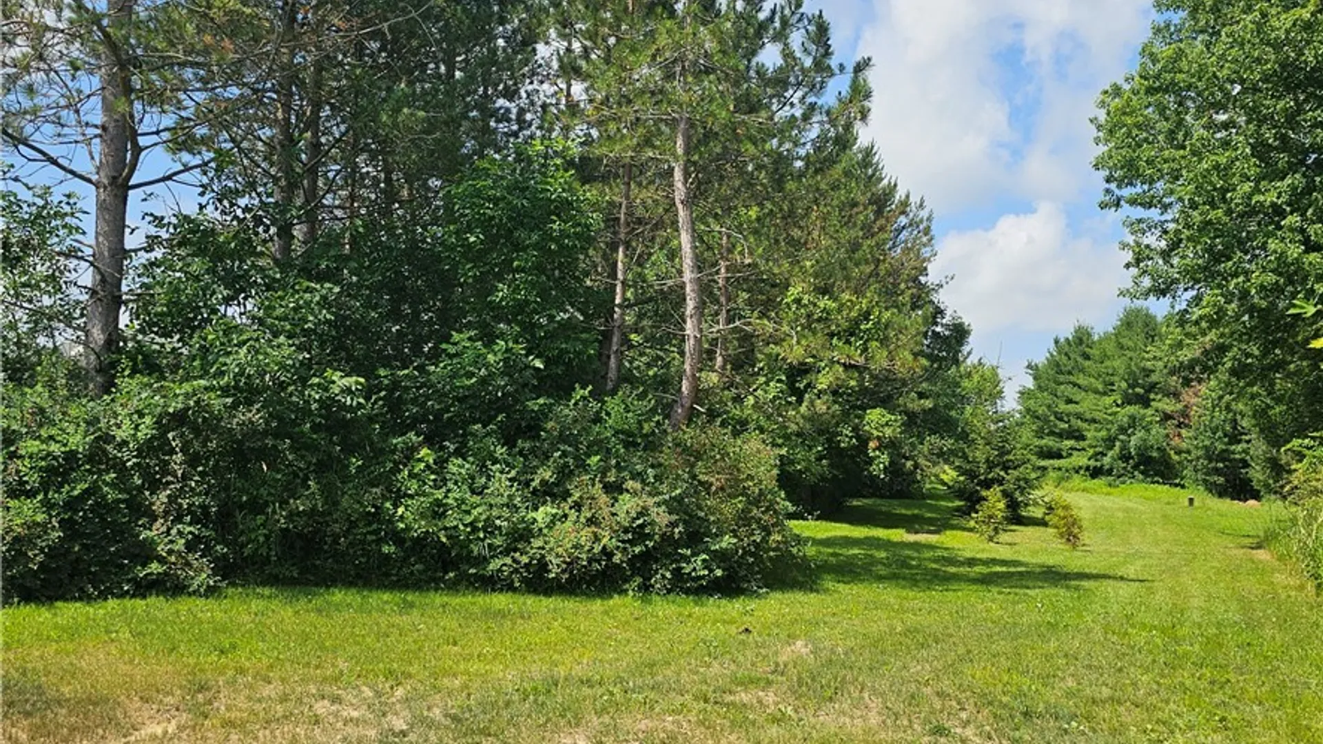 Property at 10248 Clarksburg Road, North Collins, NY 14057 29