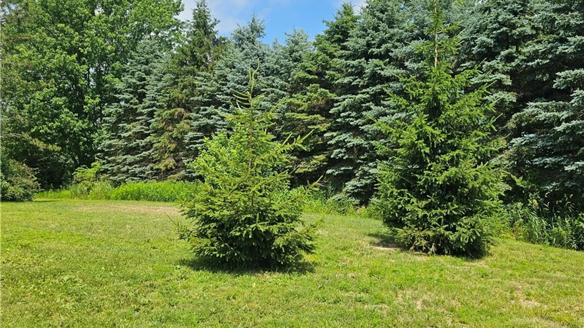 Property at 10248 Clarksburg Road, North Collins, NY 14057 30