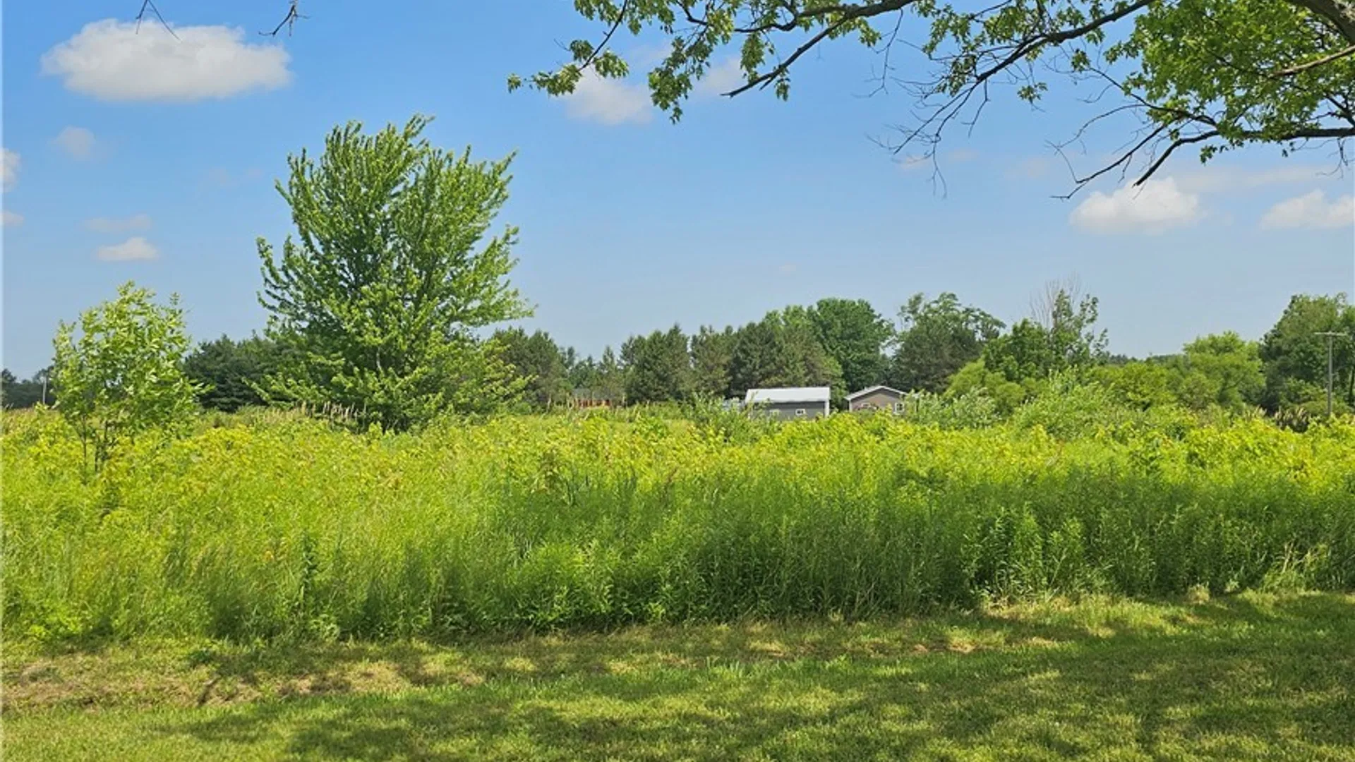 Property at 10248 Clarksburg Road, North Collins, NY 14057 33