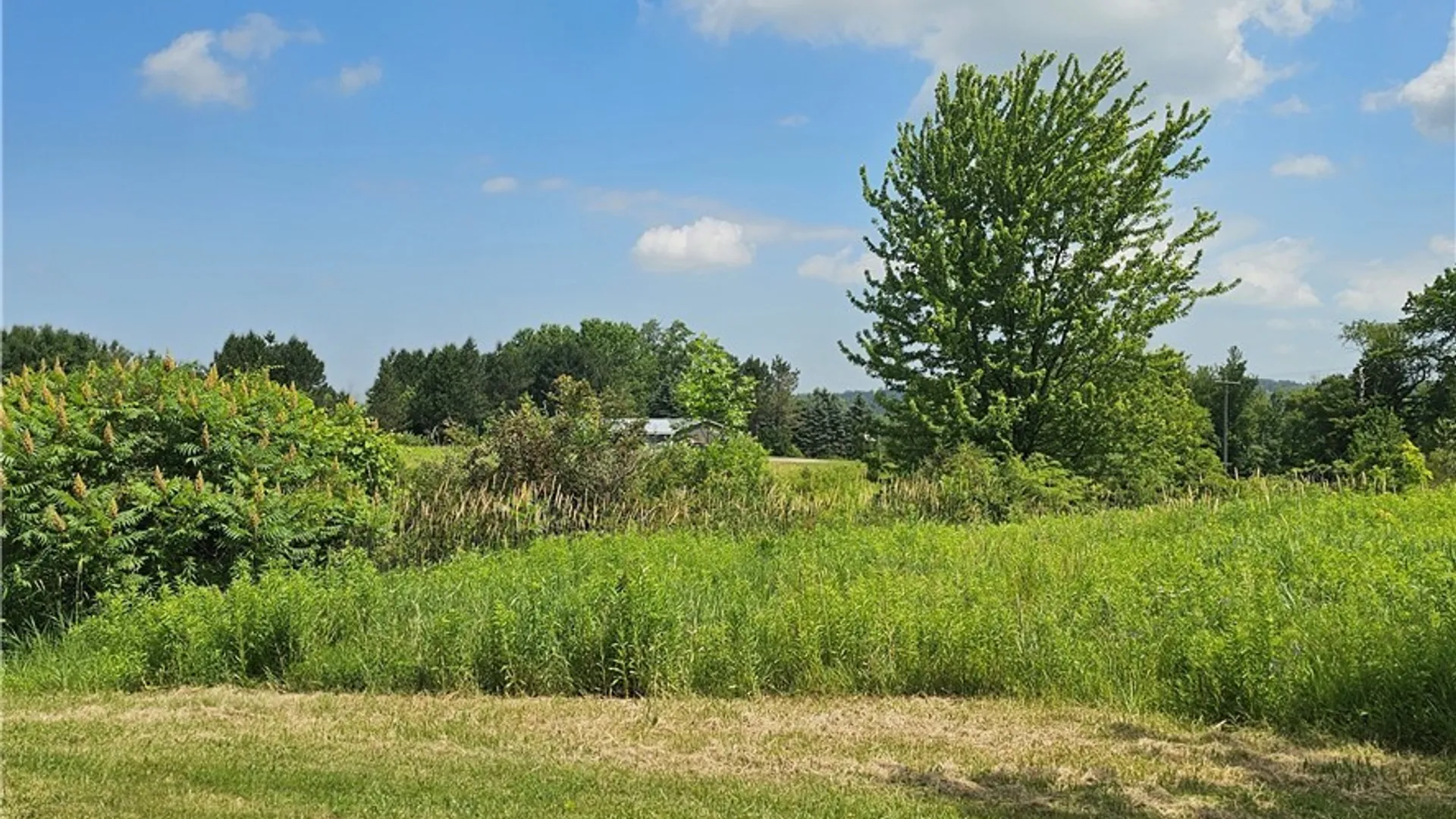 Property at 10248 Clarksburg Road, North Collins, NY 14057 34