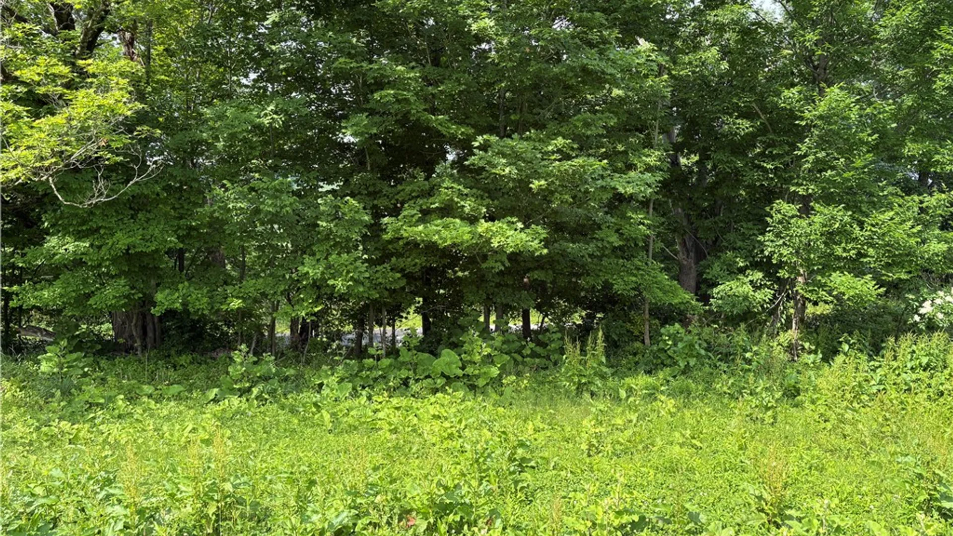 Property at 22.28 Swantak Road, Kortright, NY 13842 3