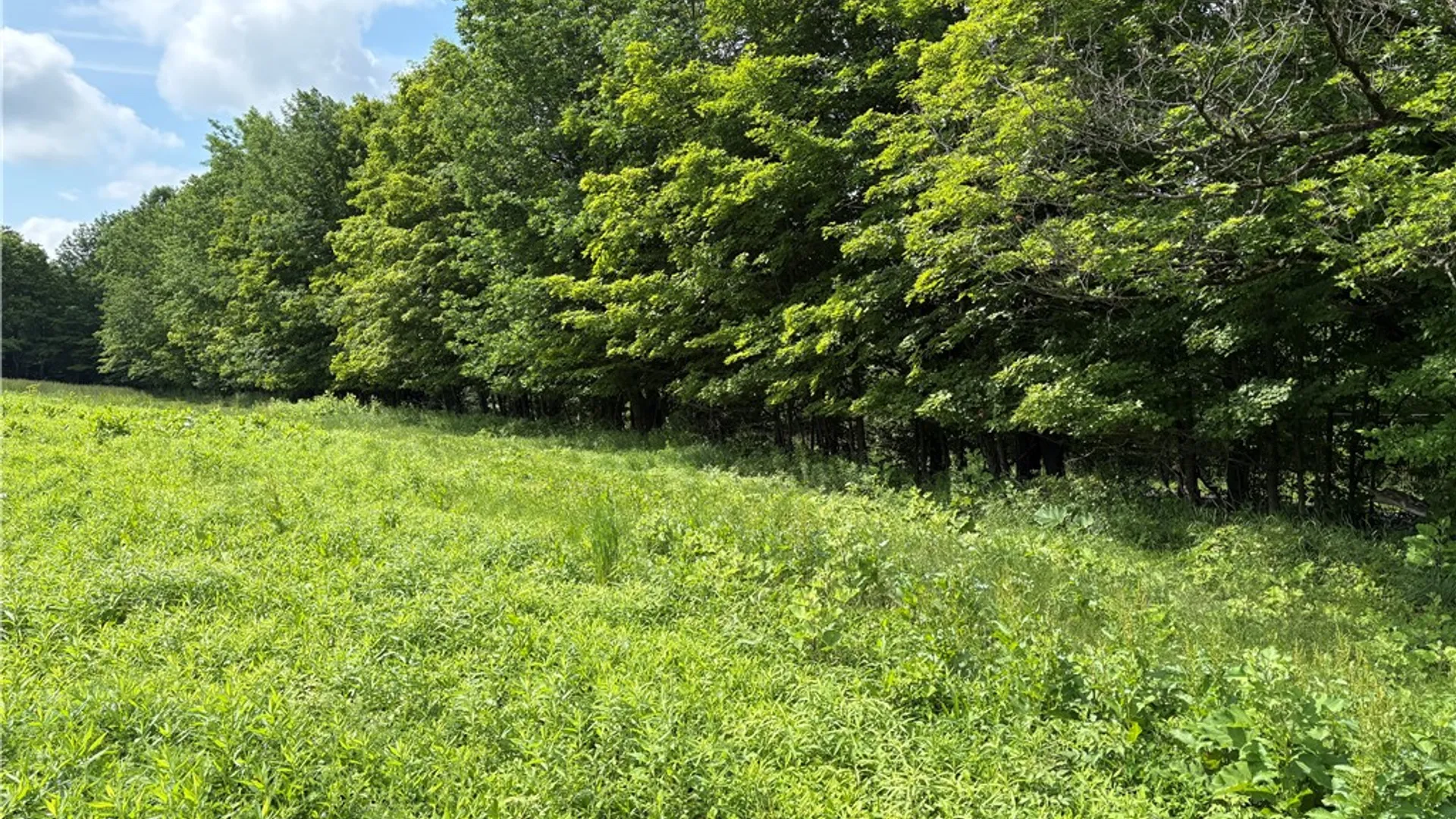 Property at 22.28 Swantak Road, Kortright, NY 13842 4
