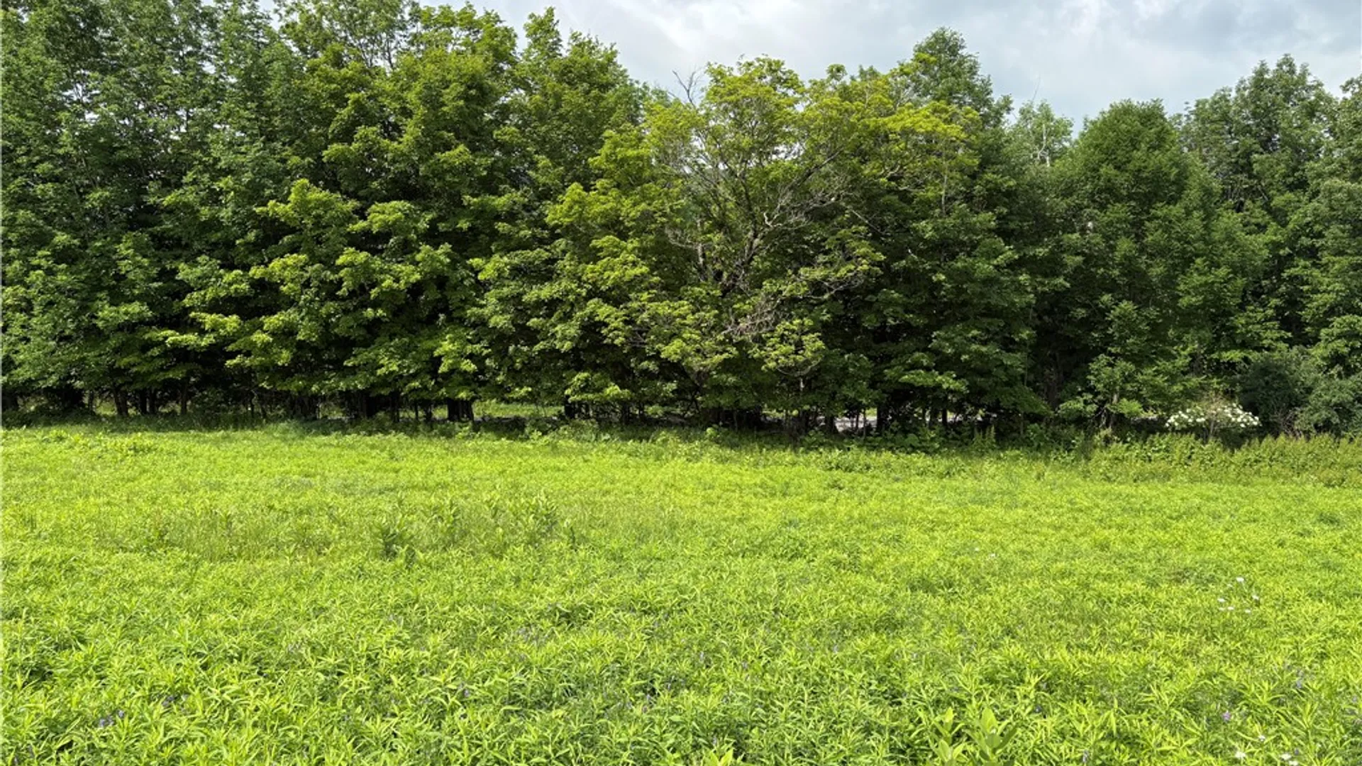 Property at 22.28 Swantak Road, Kortright, NY 13842 7