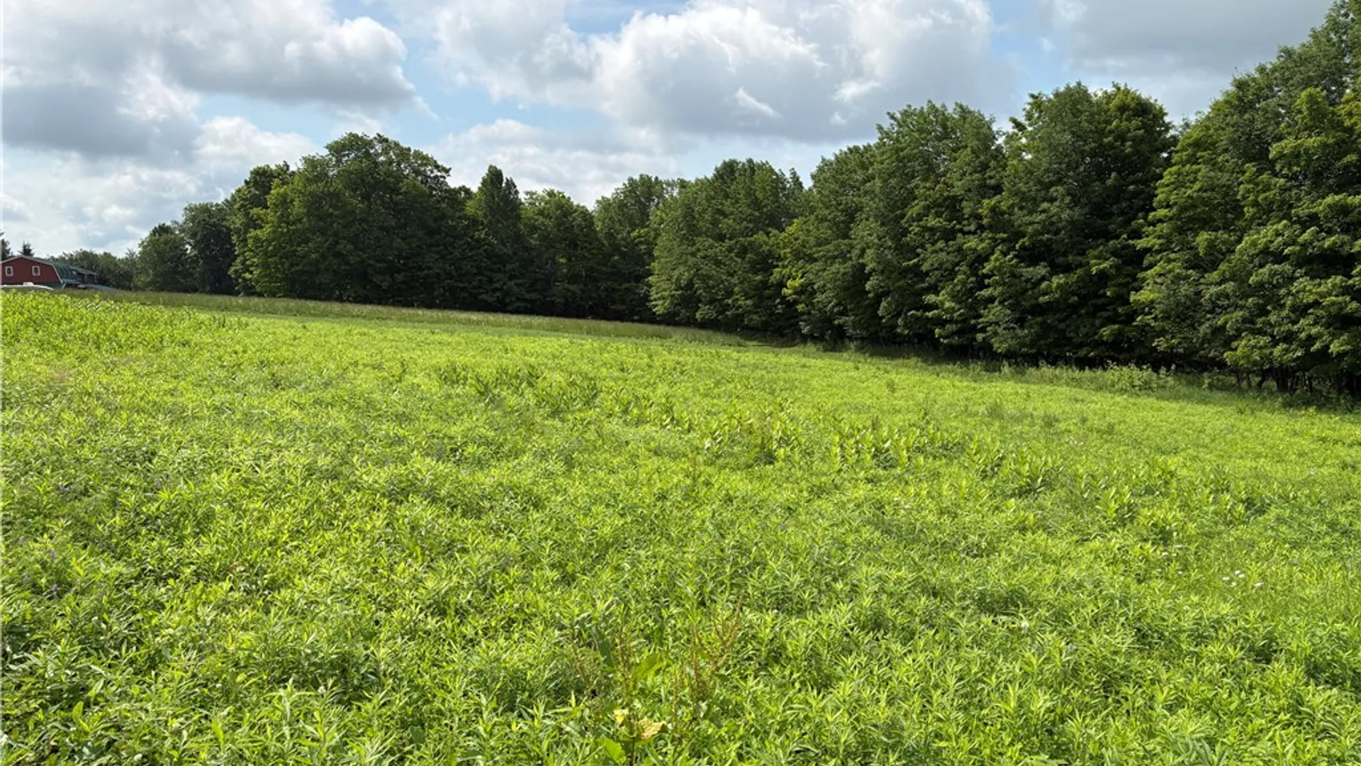 Property at 22.28 Swantak Road, Kortright, NY 13842 8