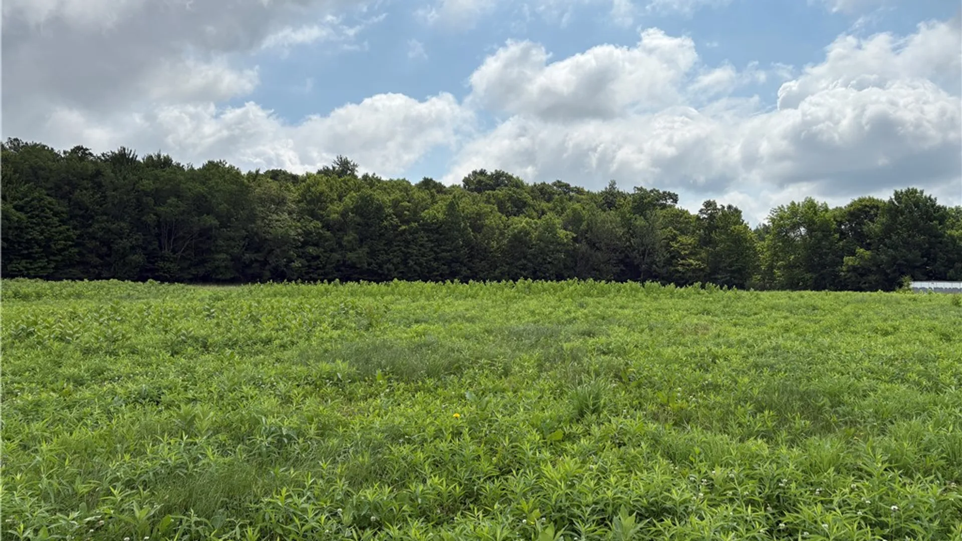 Property at 22.28 Swantak Road, Kortright, NY 13842 9