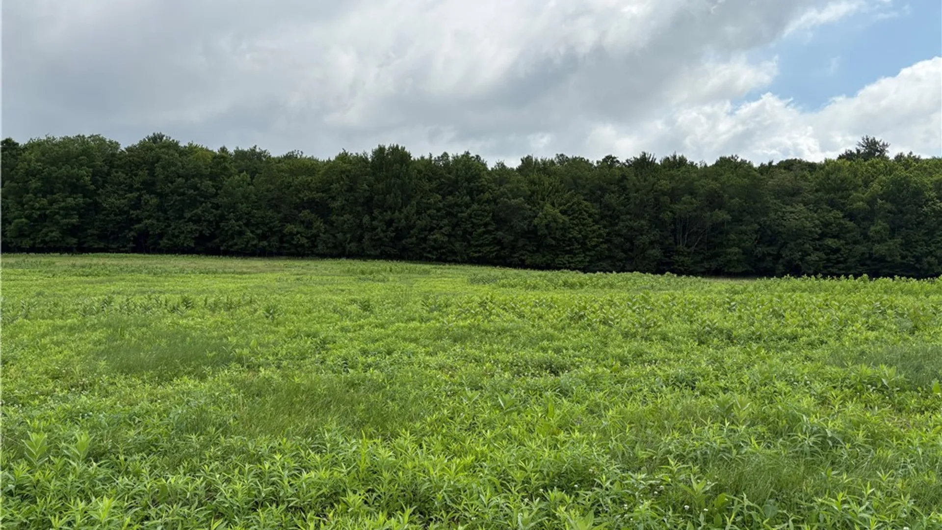 Property at 0 Swantak Road, Kortright, NY 13842 10