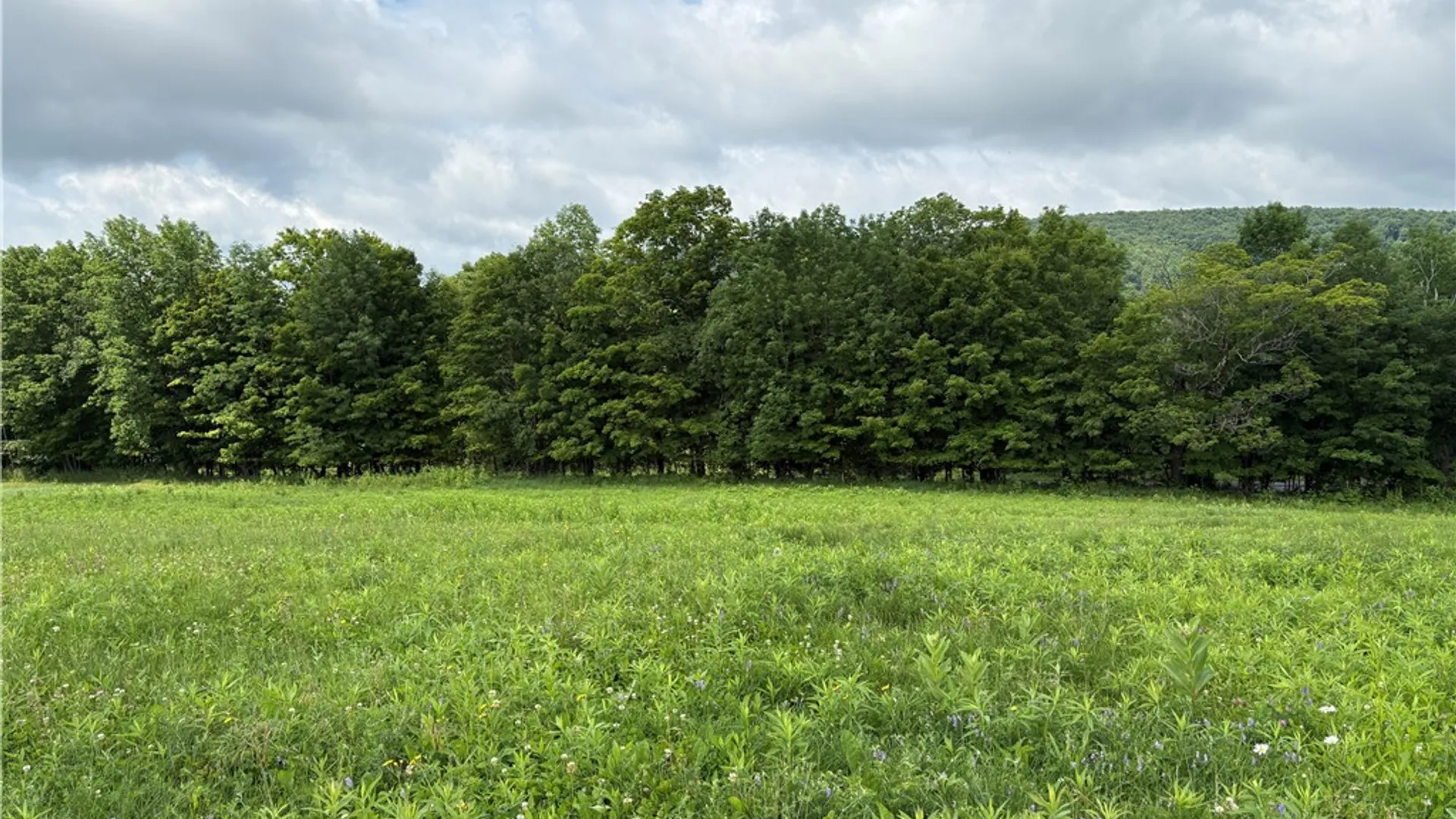 Property at 22.28 Swantak Road, Kortright, NY 13842 11