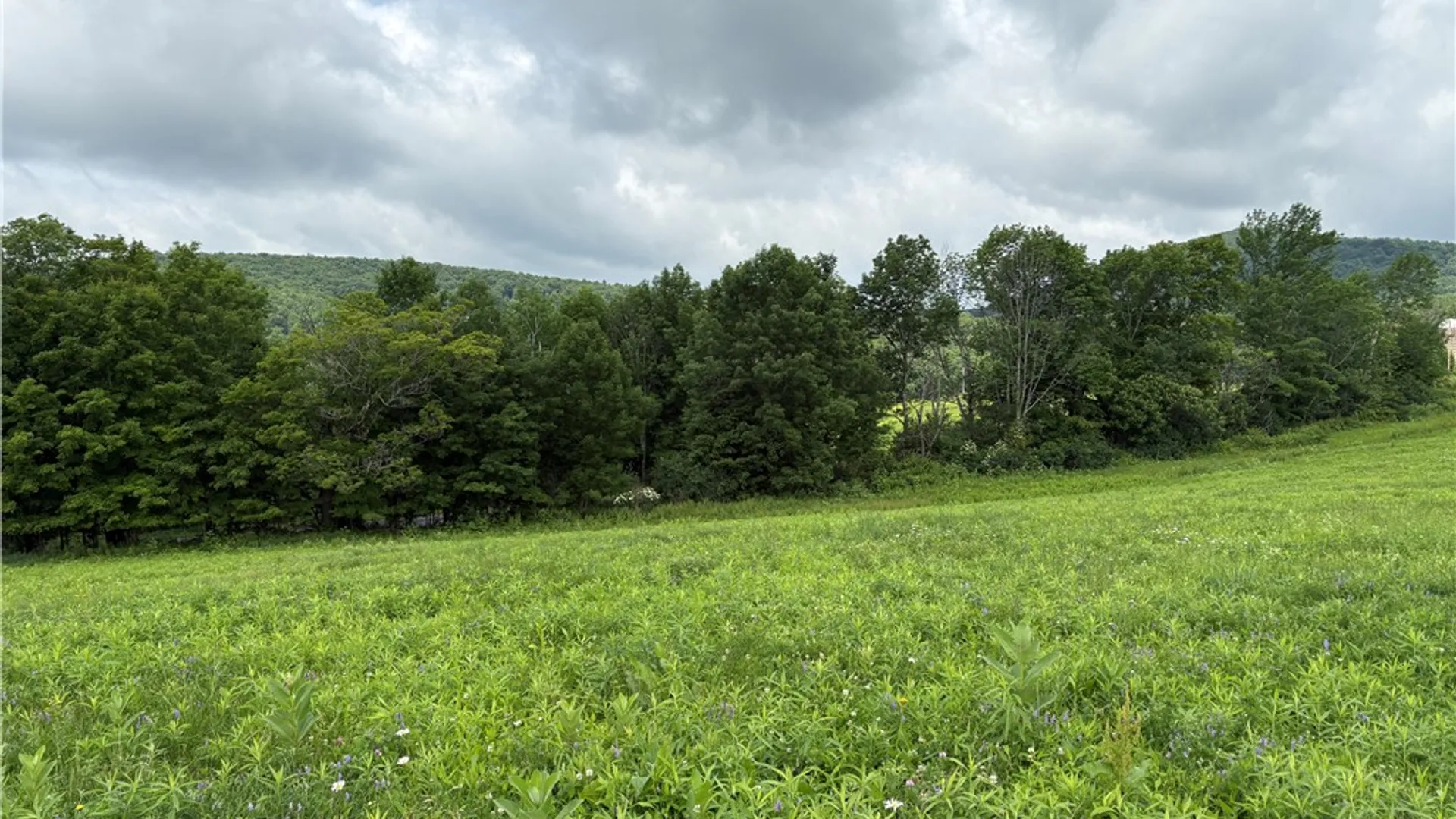 Property at 0 Swantak Road, Kortright, NY 13842 12