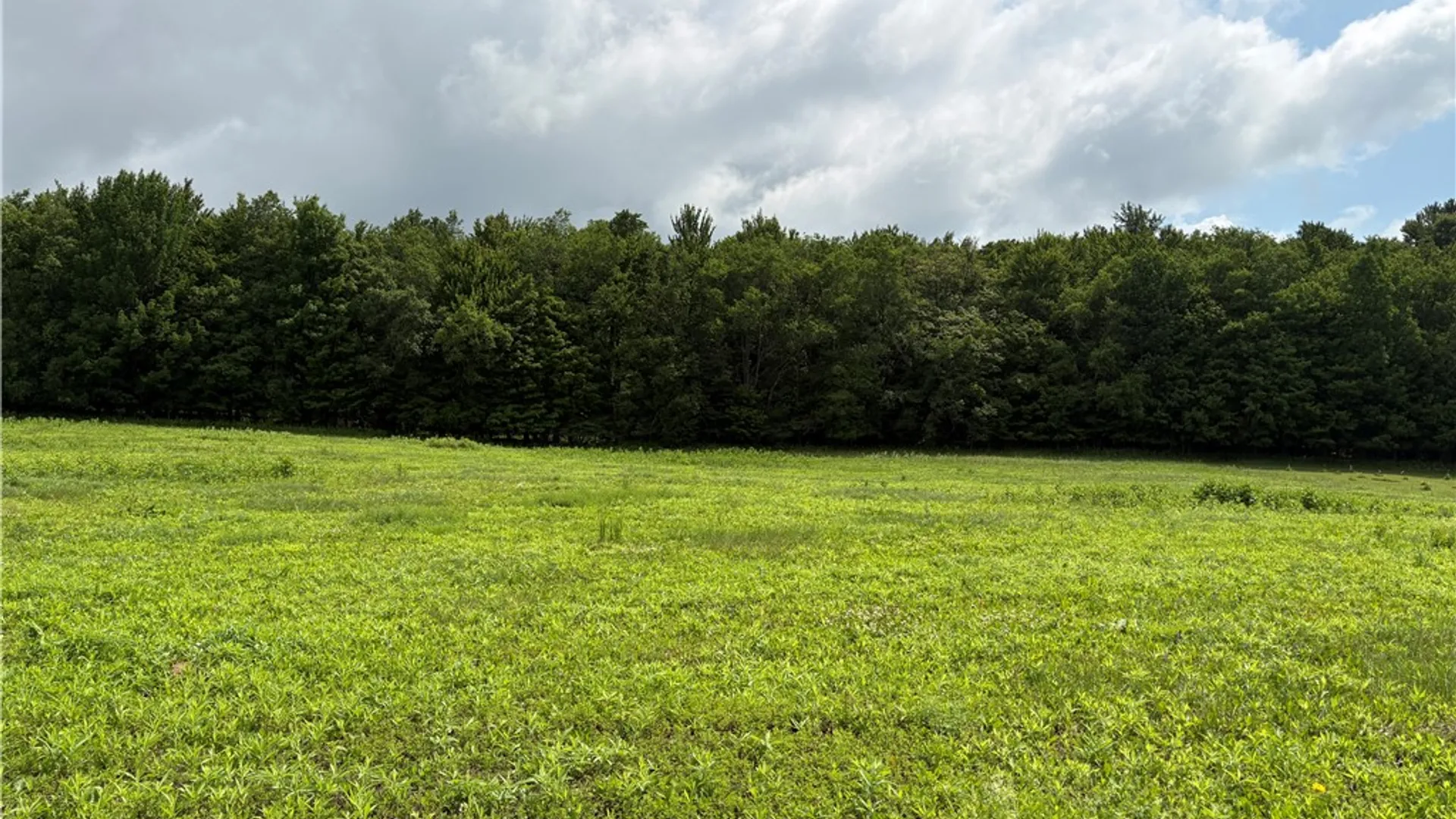 Property at 22.28 Swantak Road, Kortright, NY 13842 13