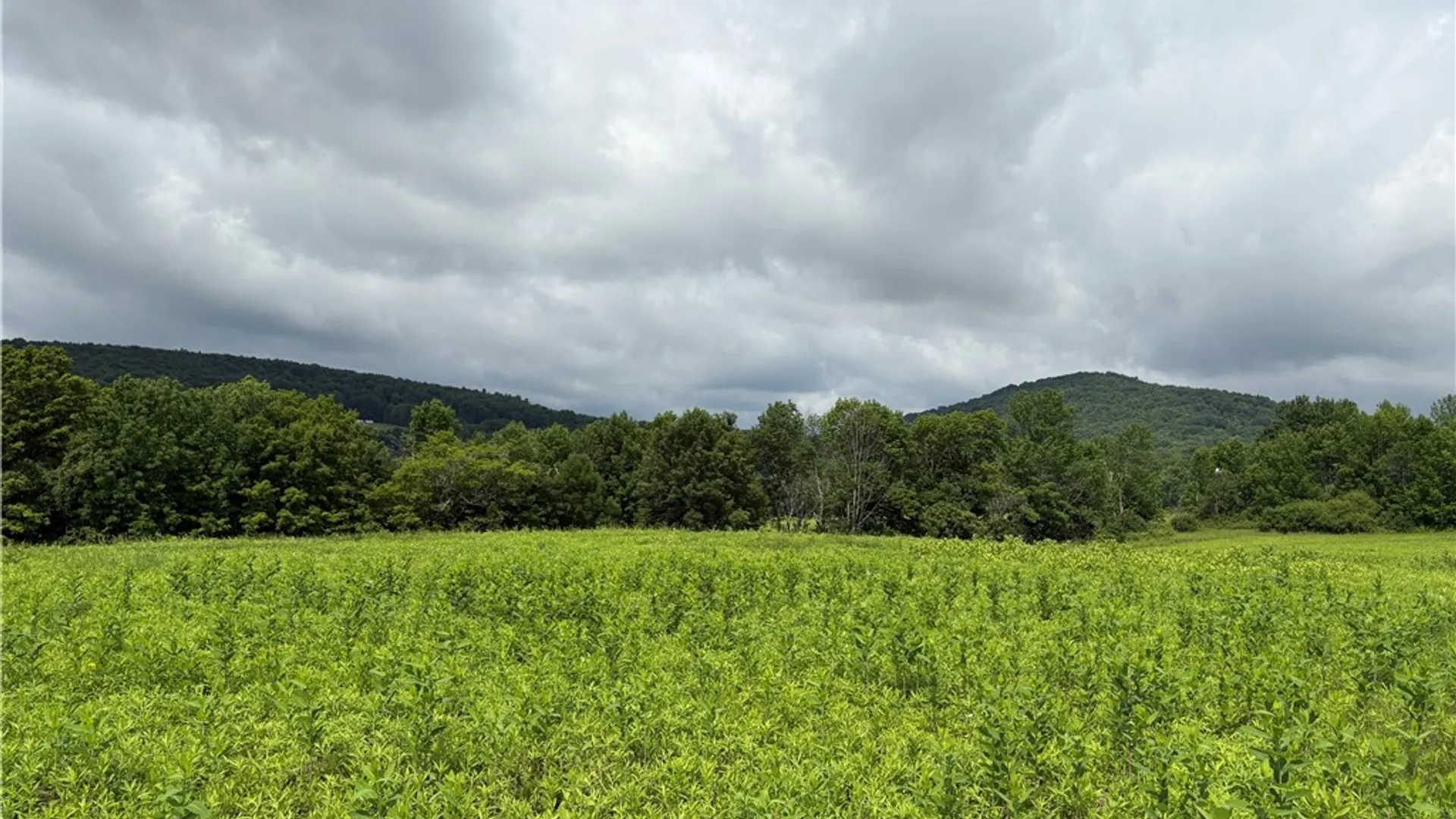 Property at 22.28 Swantak Road, Kortright, NY 13842 14
