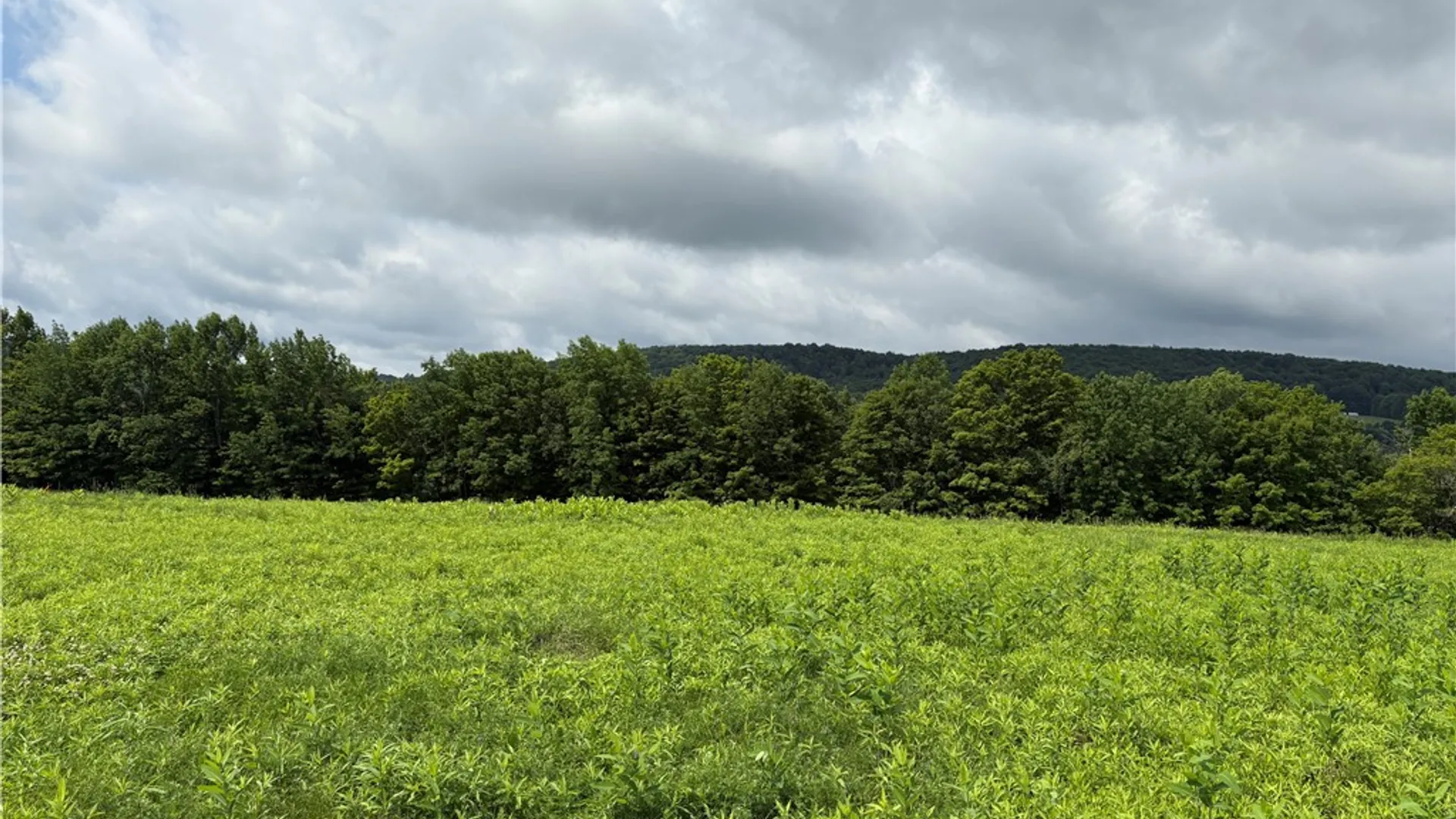 Property at 0 Swantak Road, Kortright, NY 13842 15