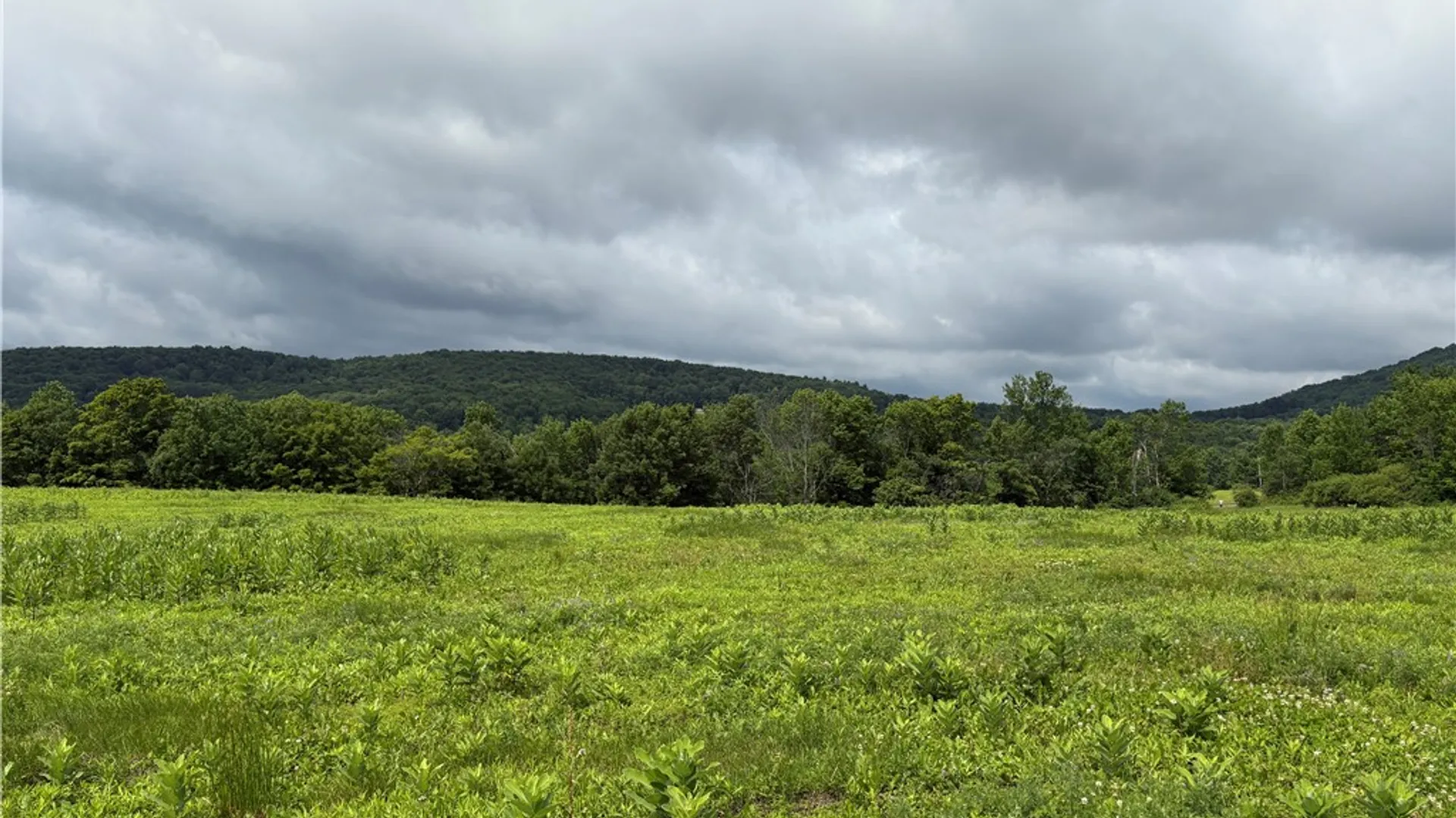 Property at 22.28 Swantak Road, Kortright, NY 13842 17