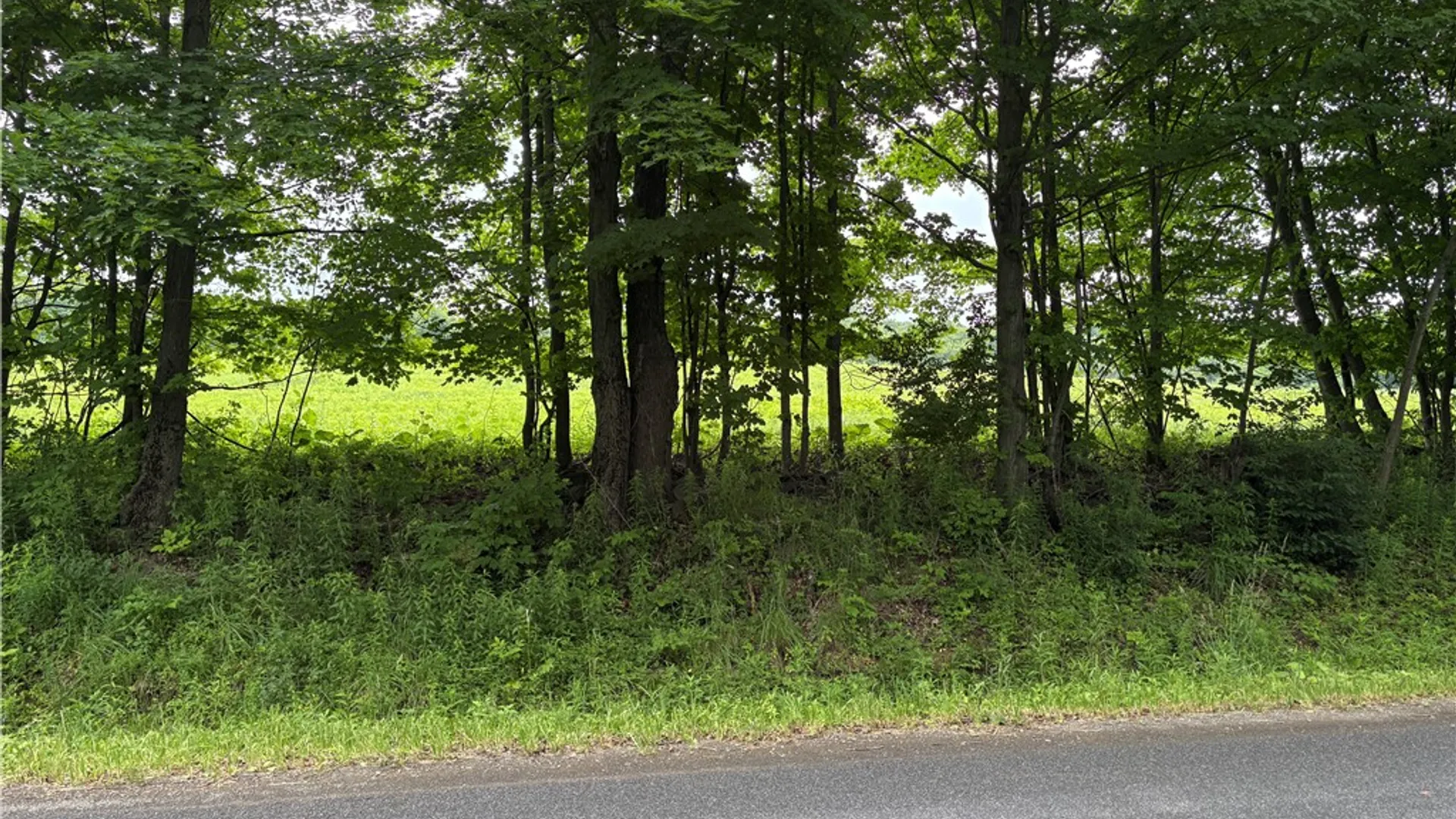 Property at 22.28 Swantak Road, Kortright, NY 13842 19