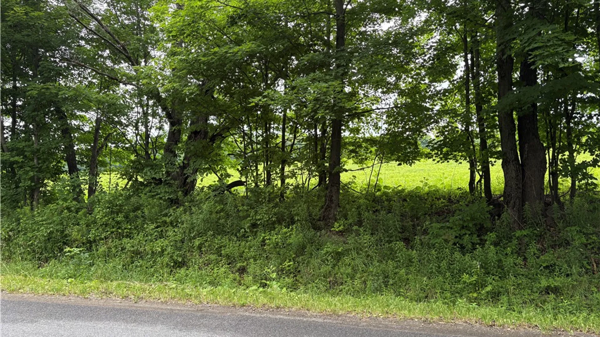 Property at 0 Swantak Road, Kortright, NY 13842 20
