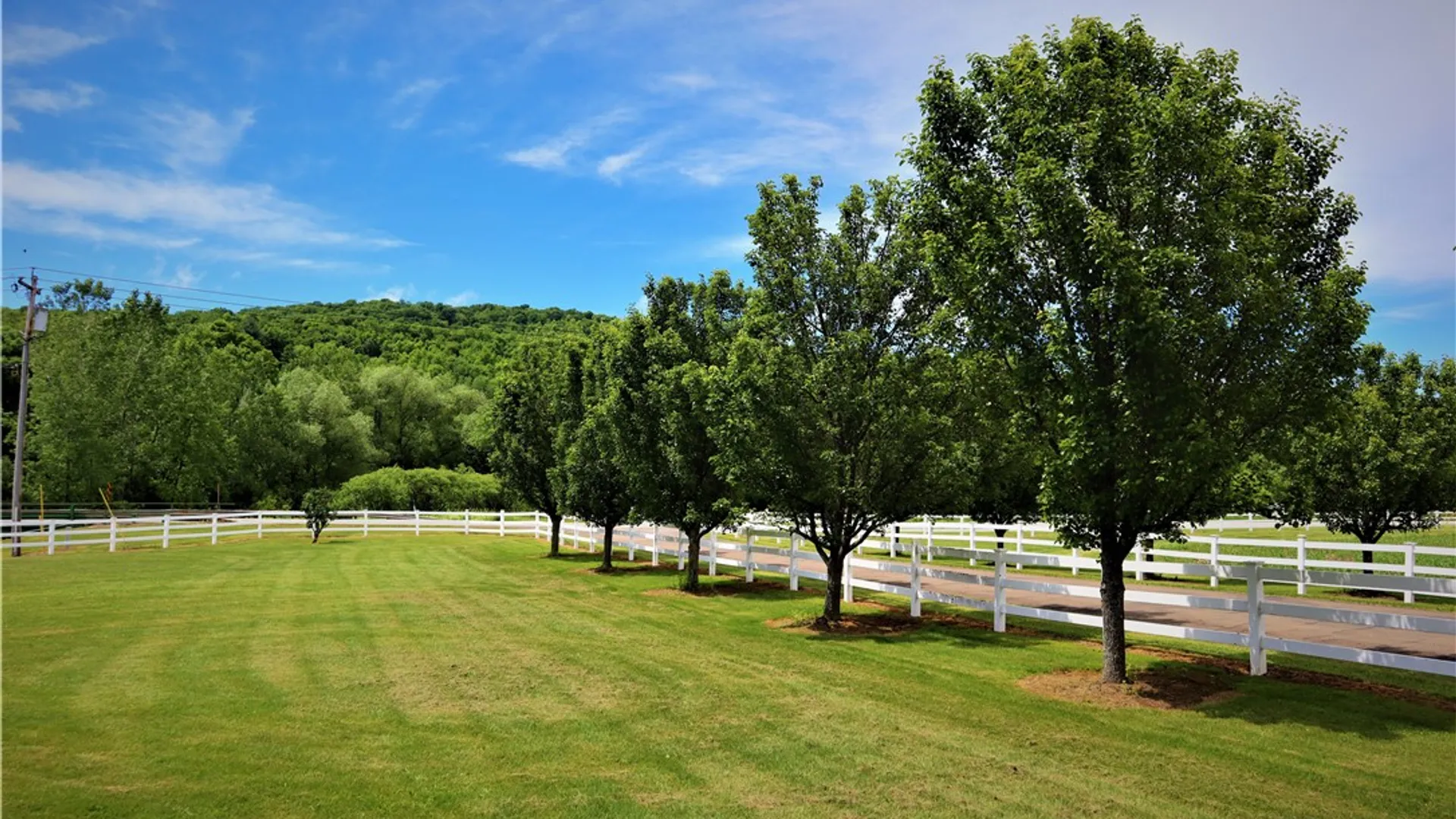Property at WEST 3606 County Road 9, Scio, NY 14880 6